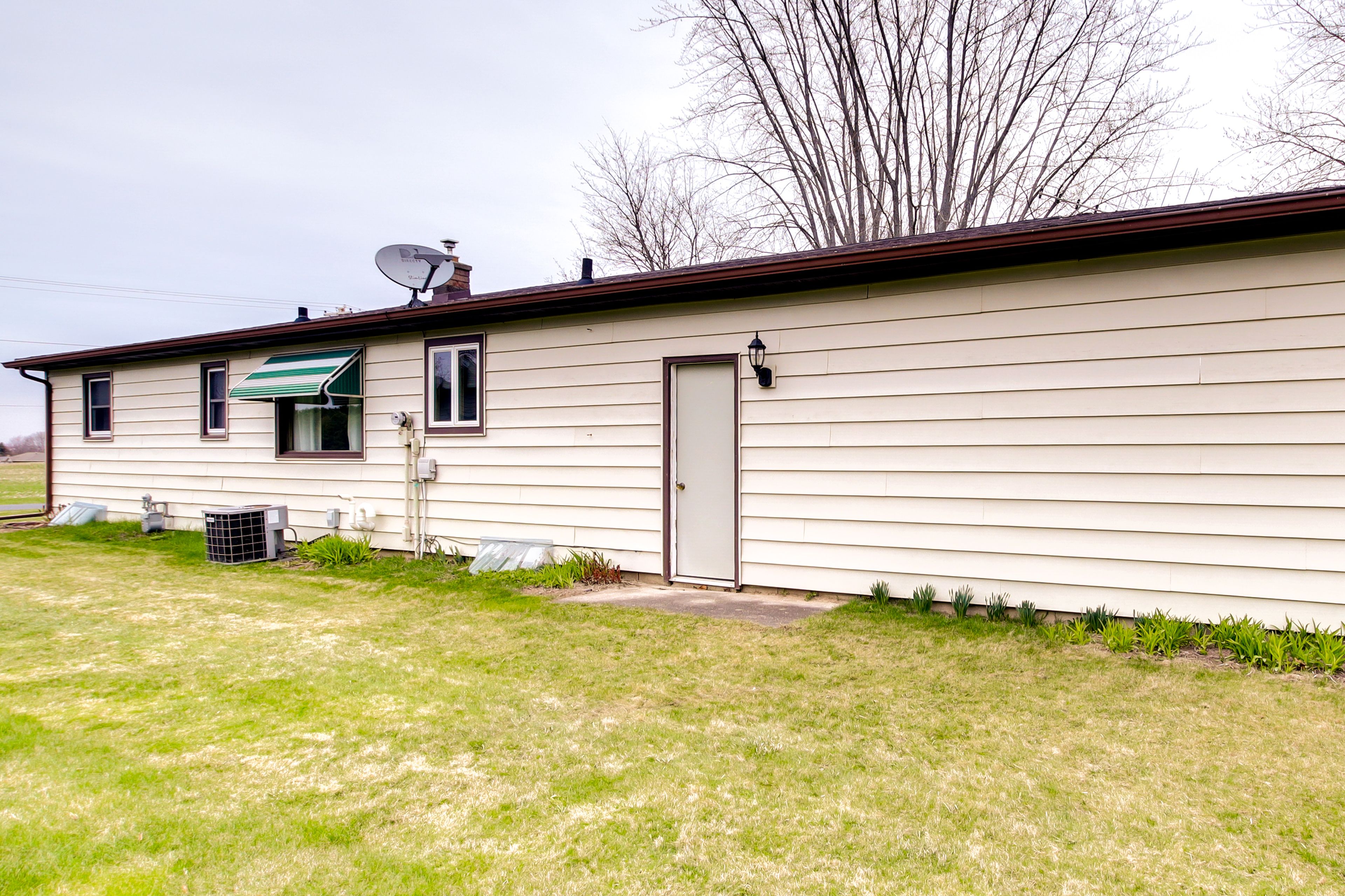 Backyard | Gas Grill