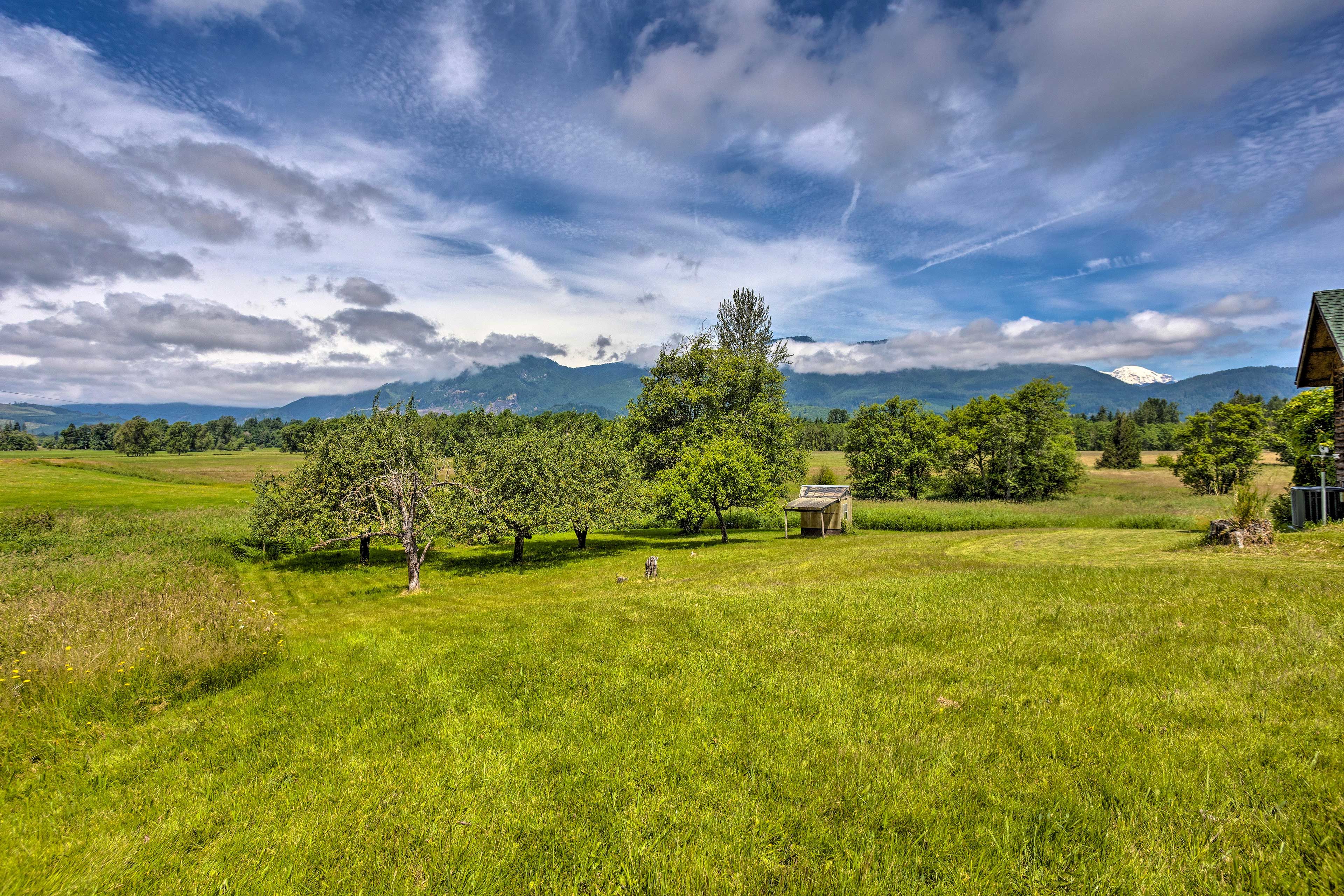 Exterior | 8 Private Acres | Tree Swings | Hammock