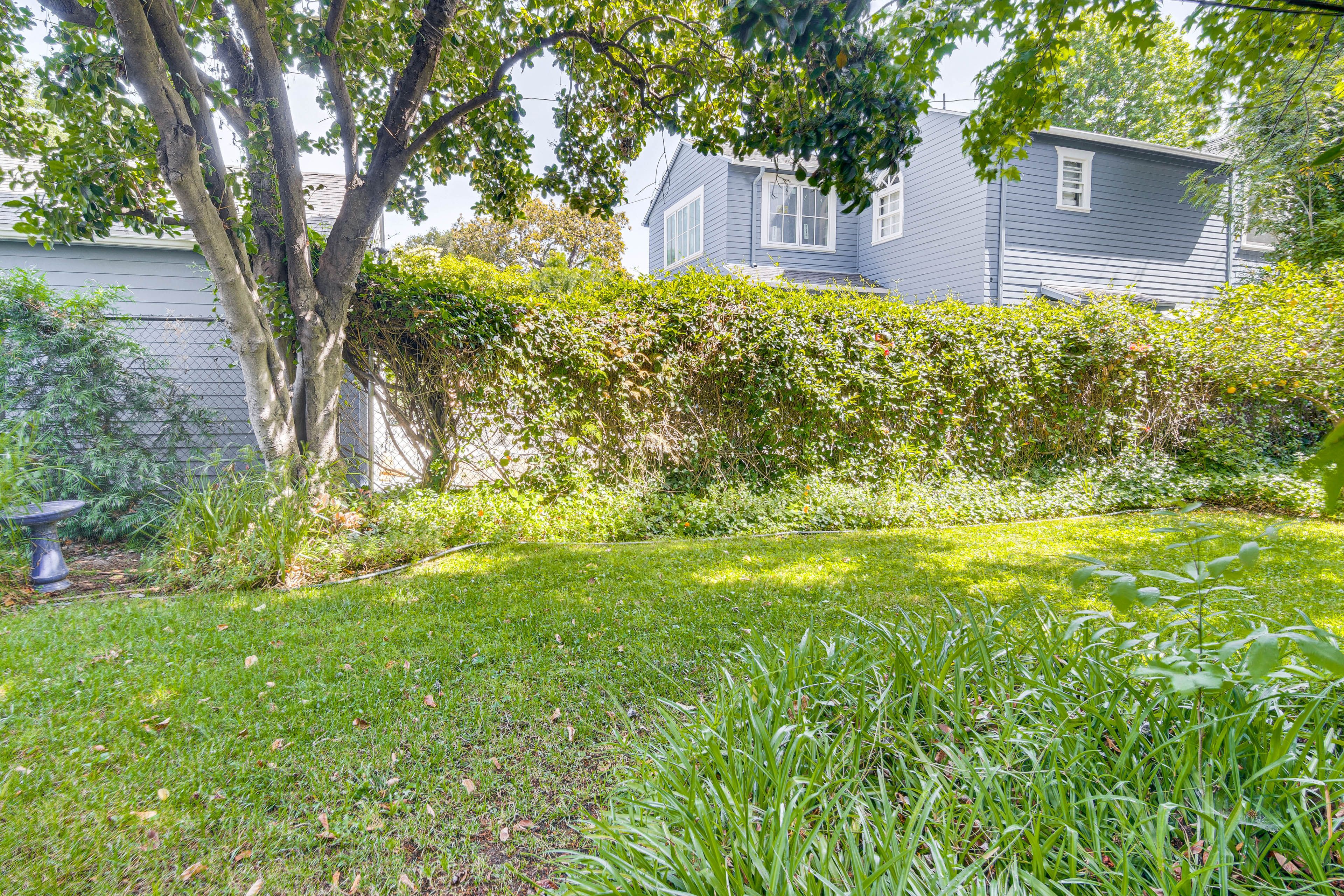 Shared Yard