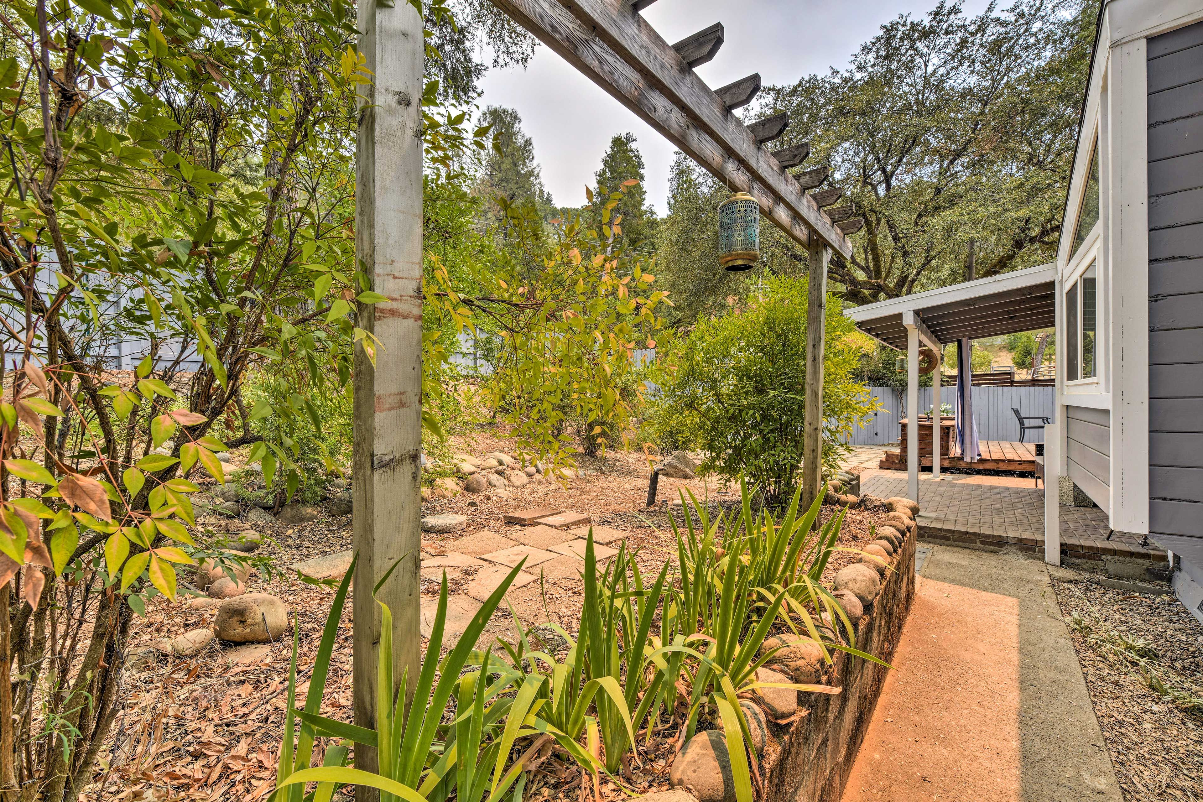 Arbor