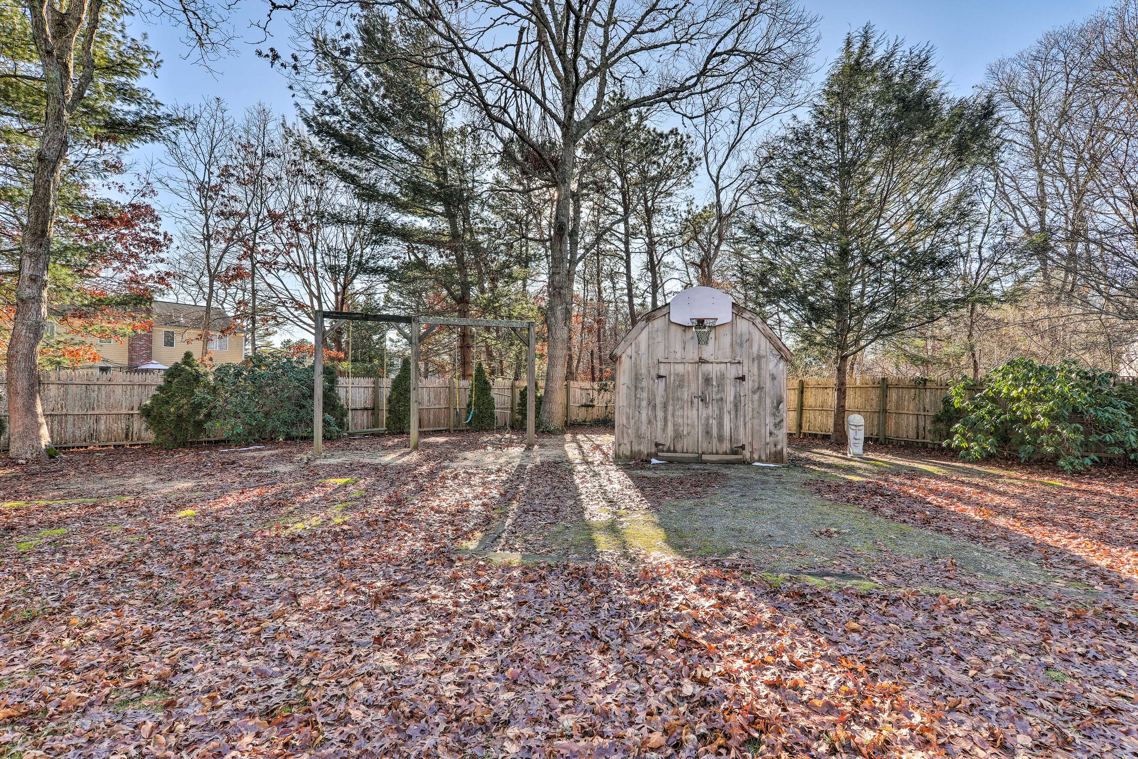 Basketball Hoop & Playground
