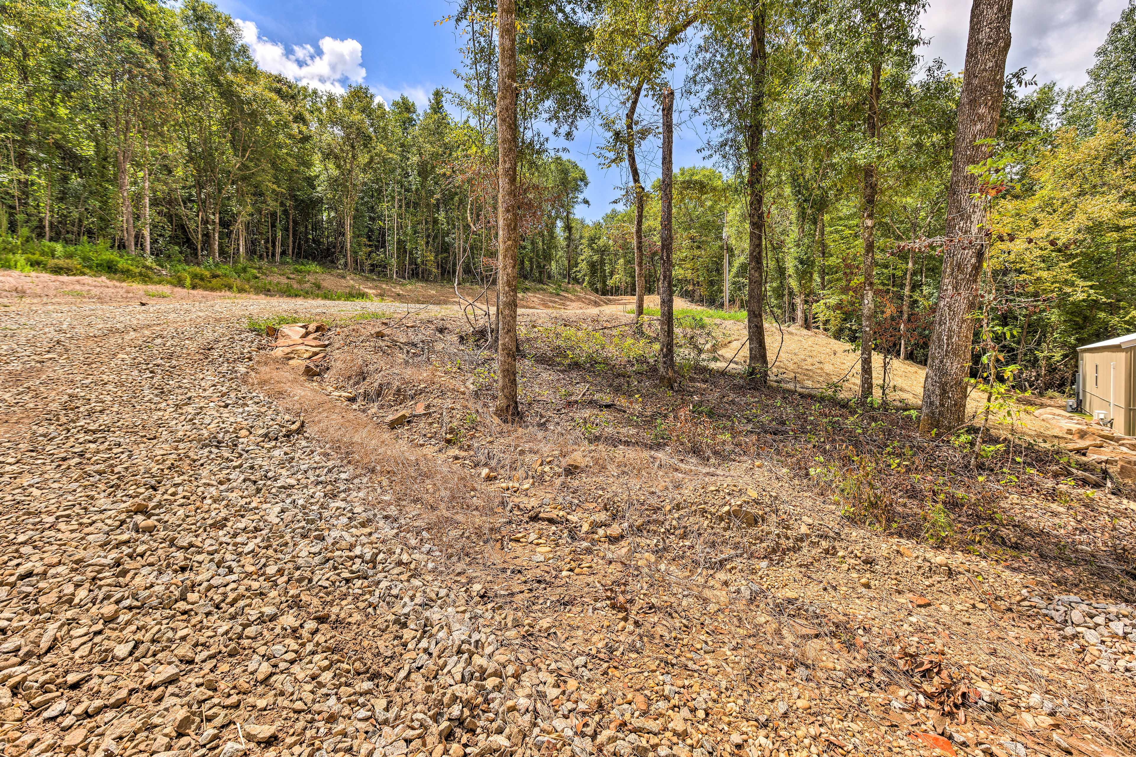 Forested Surroundings