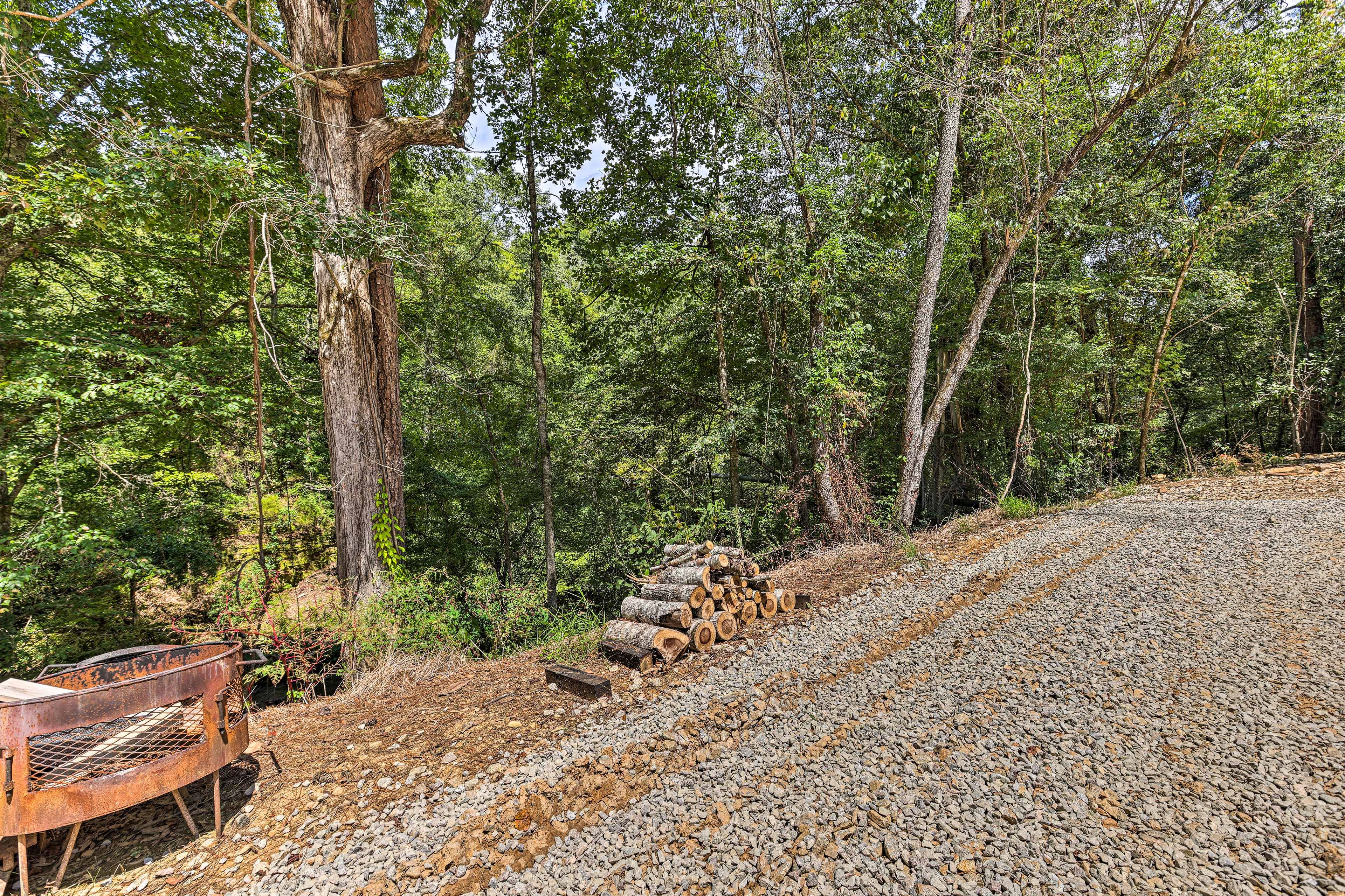 Cabin Surroundings | Walking Trail On-Site