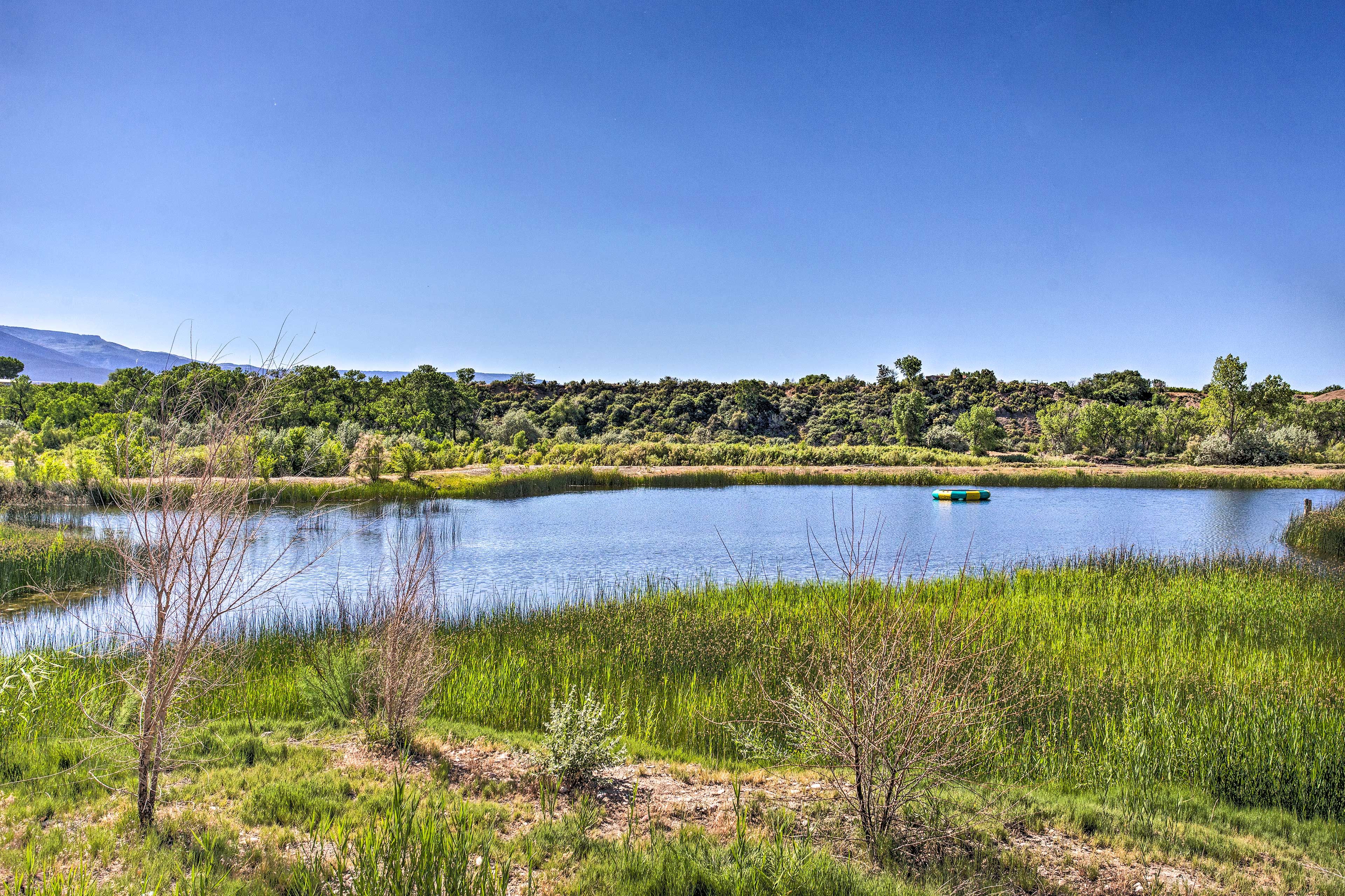 1 Acre Pond | 15 Ft Inflatable Trampoline | BYO Paddleboards
