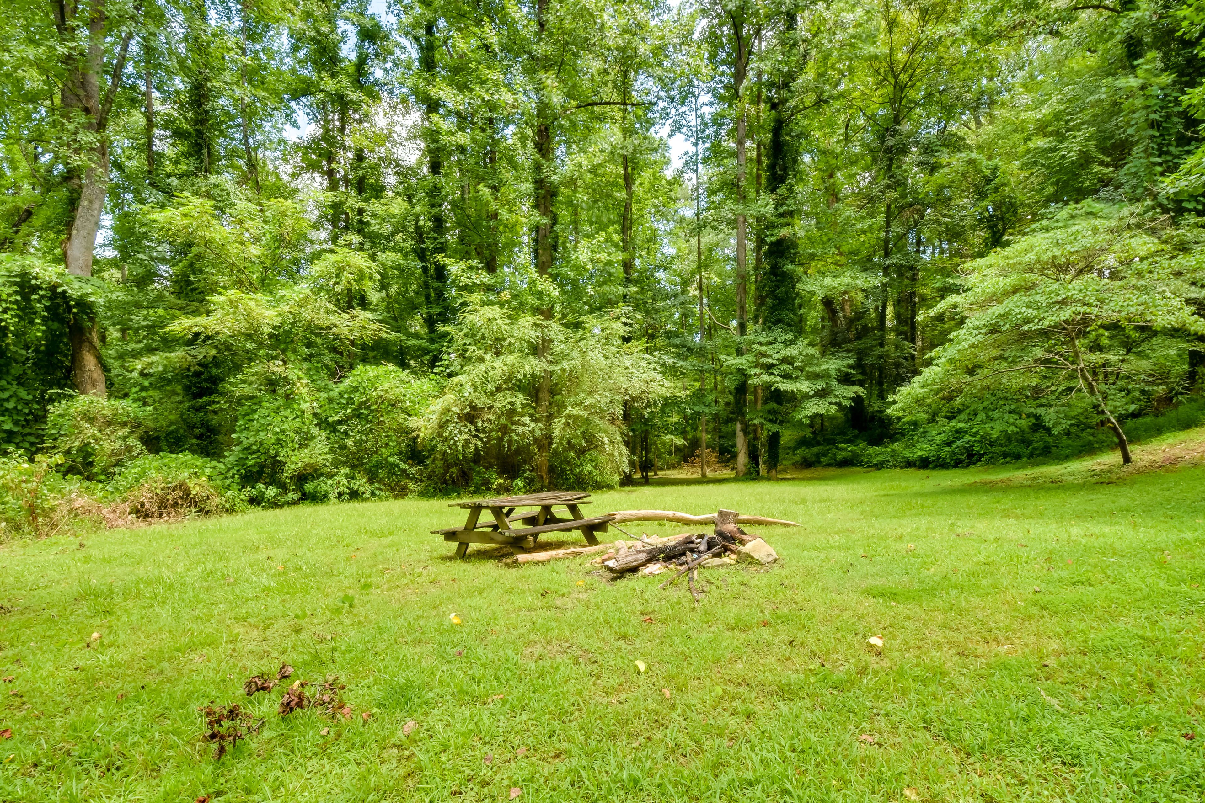 10-Acre Property | Shared Yard Space | Fire Pit (Wood Not Provided)