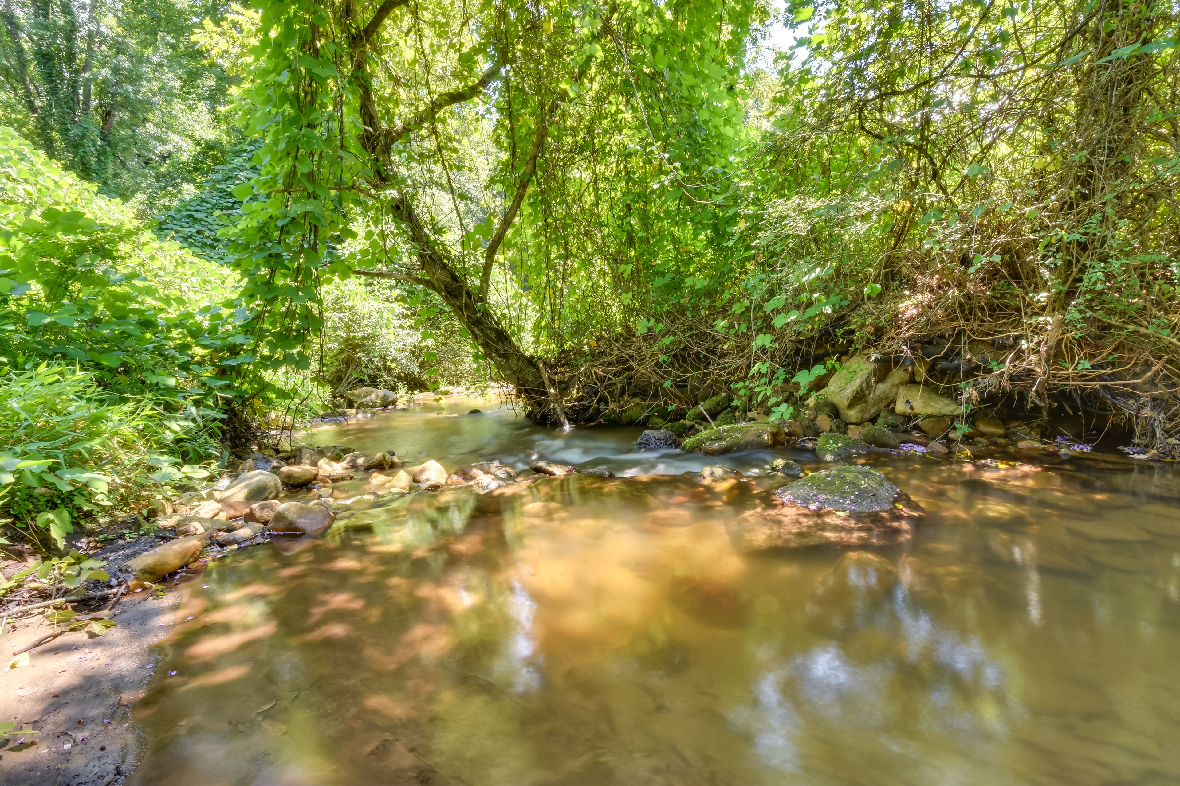 10-Acre  Property | Shared Outdoor Space