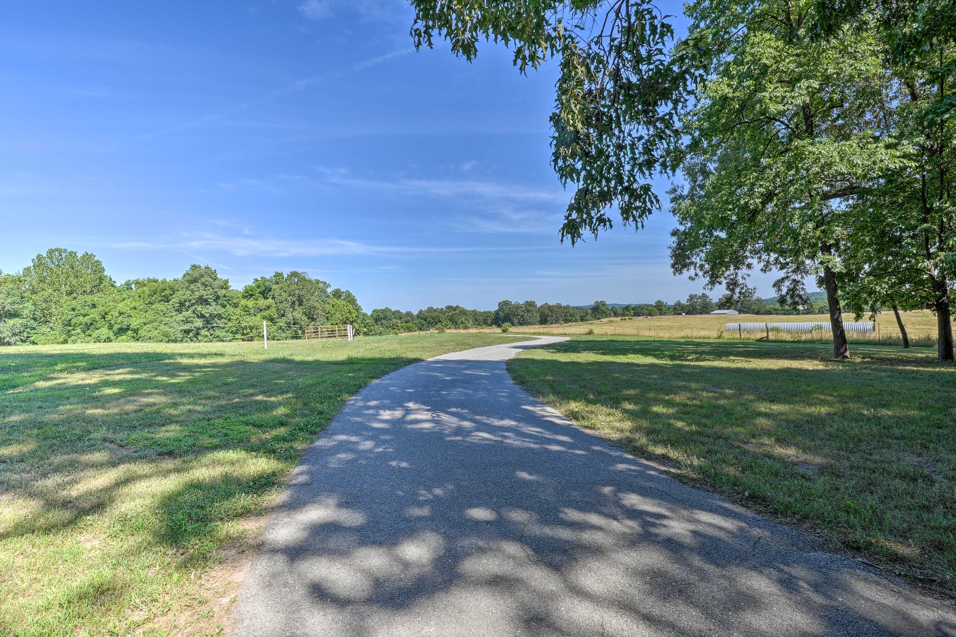 Parking | Driveway (10 Vehicles)