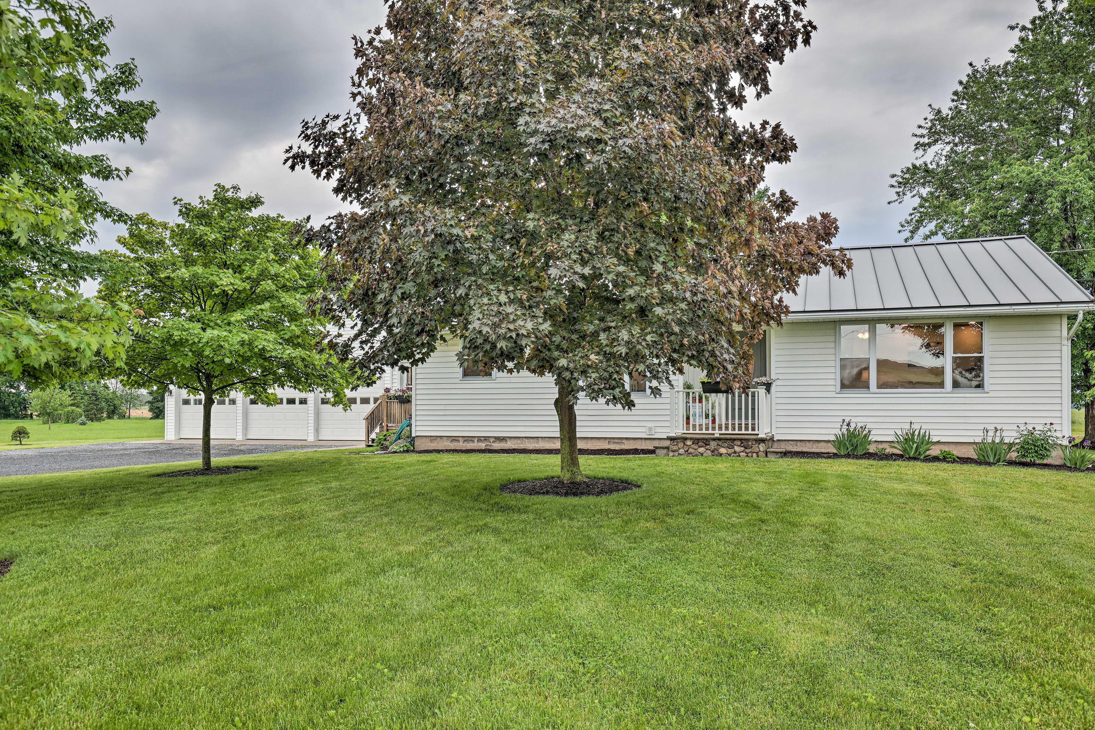 Yard Area