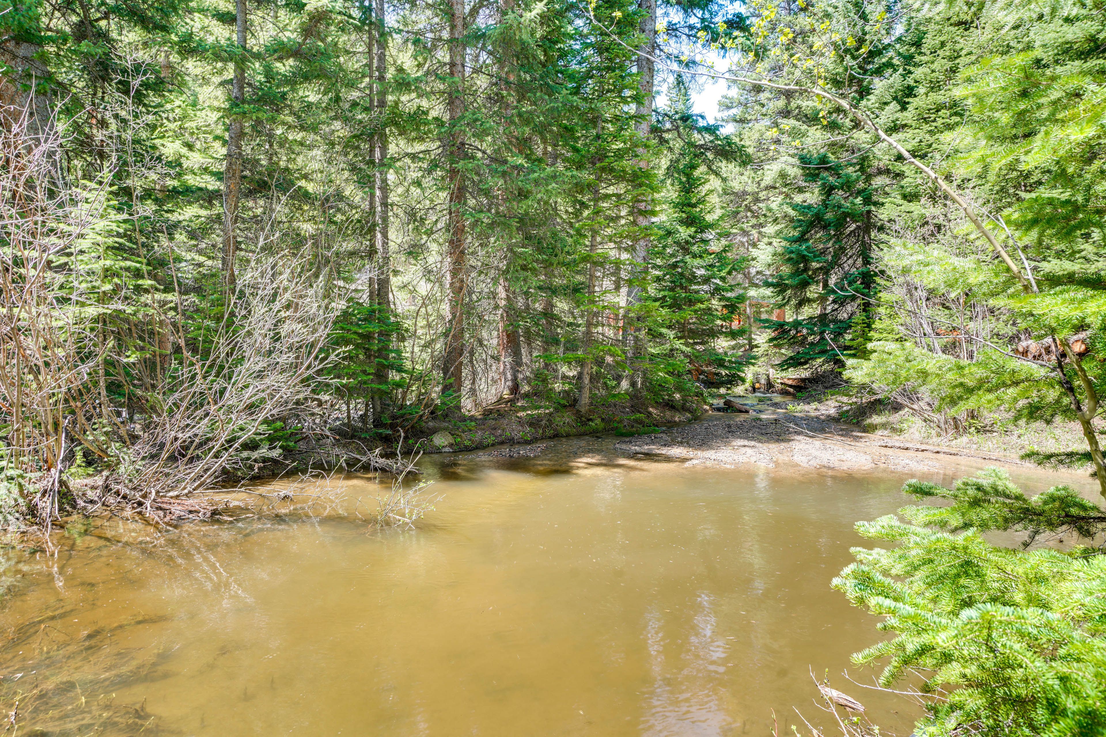 On-Site Pond