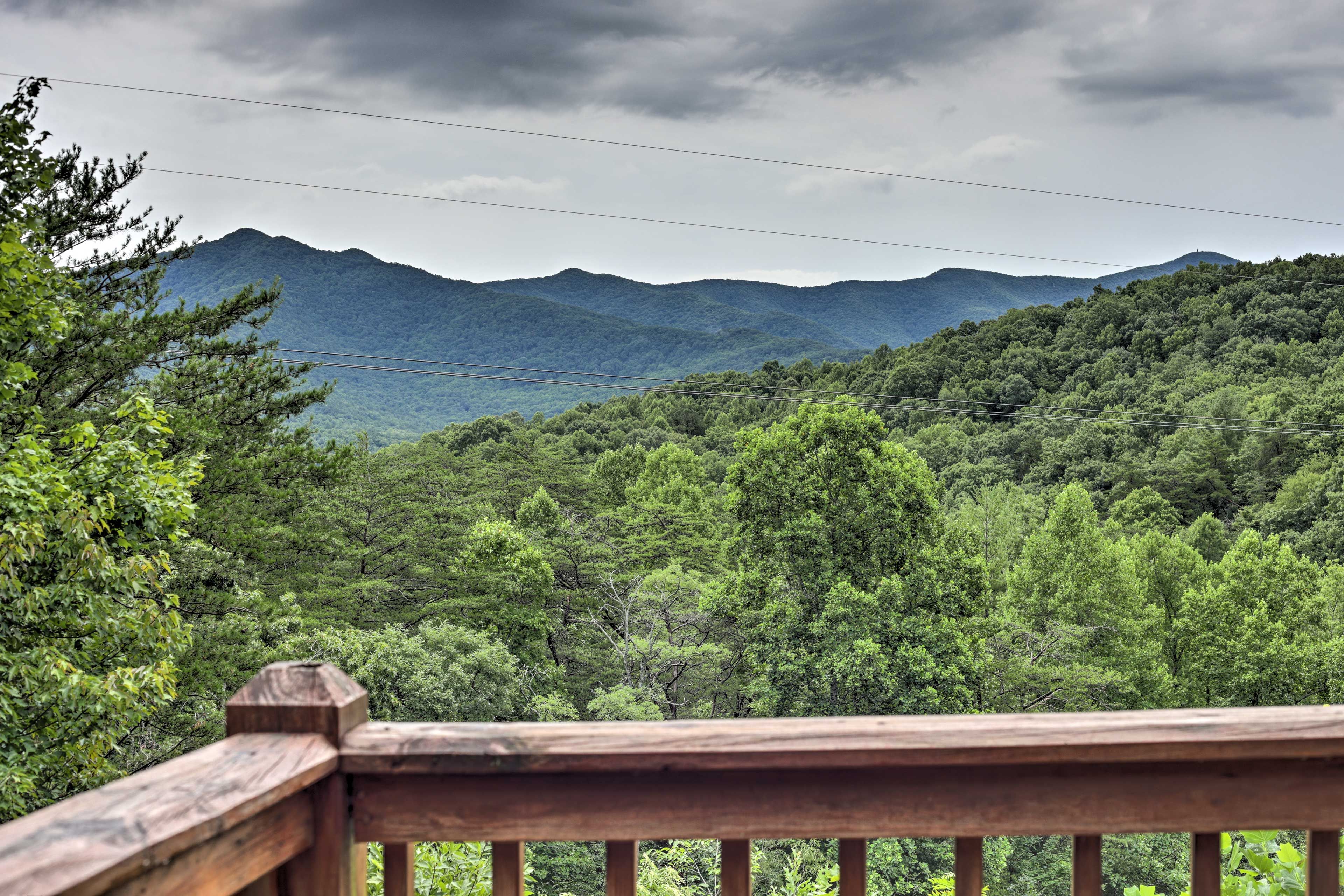 Deck Views