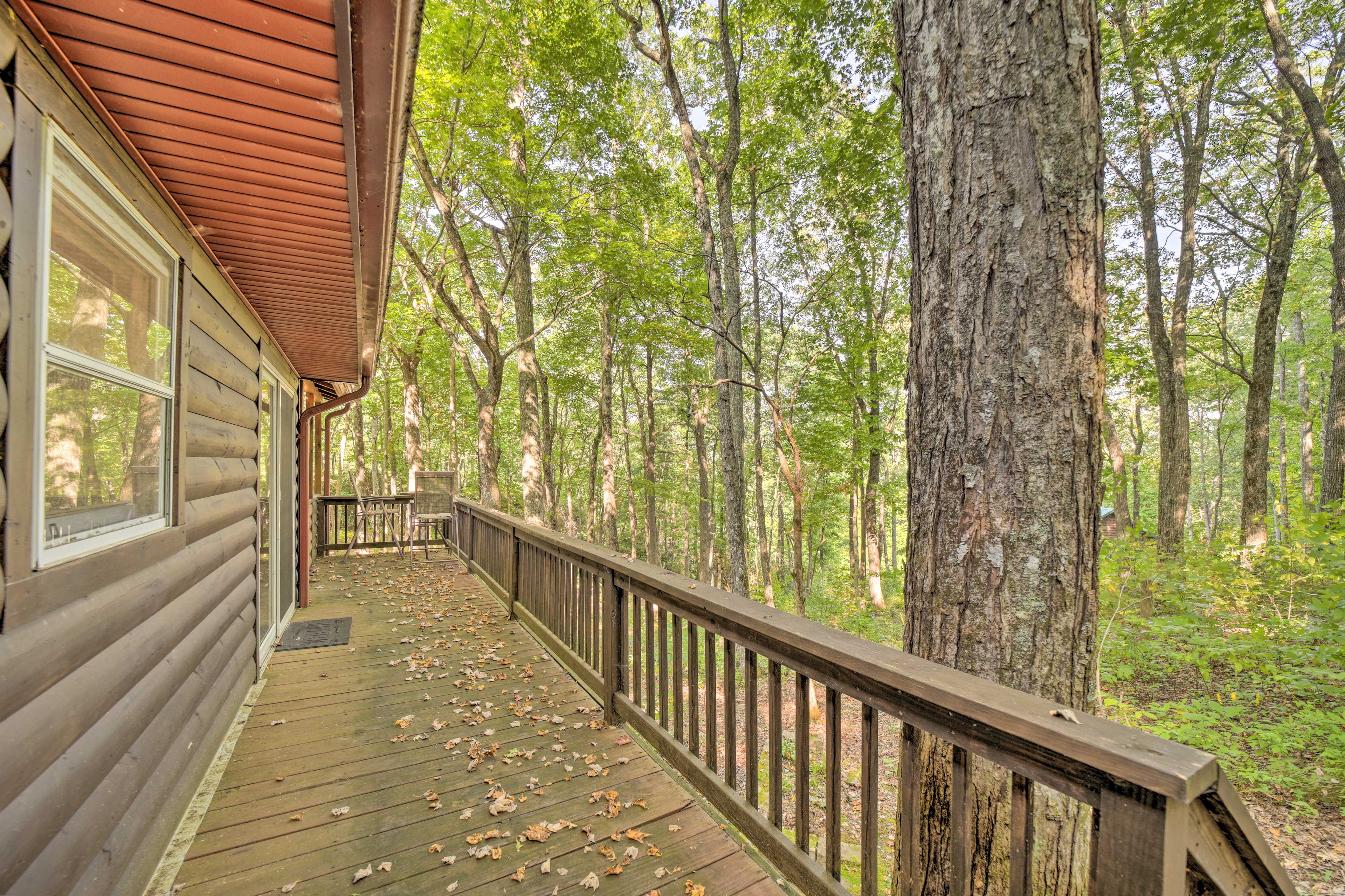 Wraparound Deck | Woodland Views