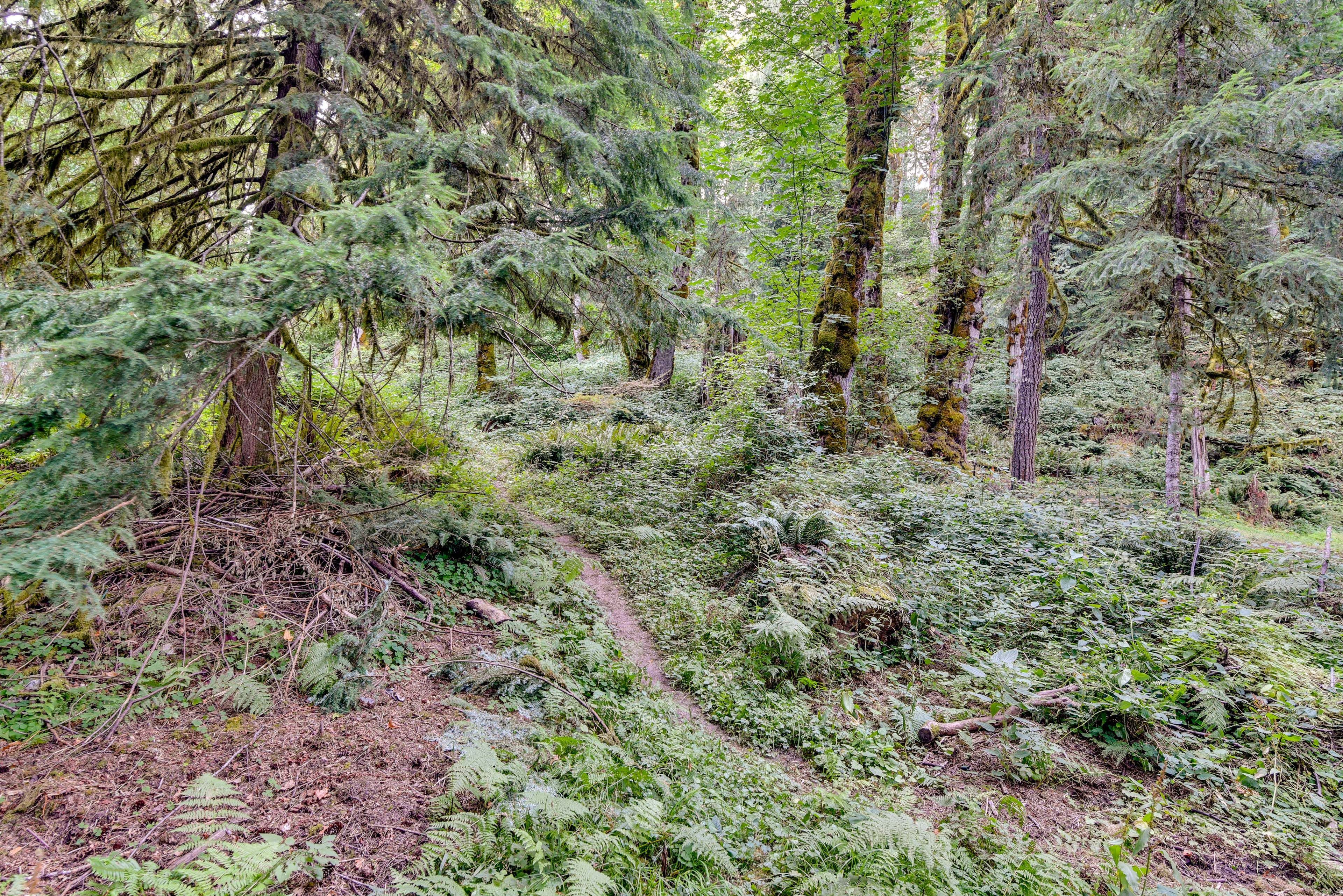 Image 29