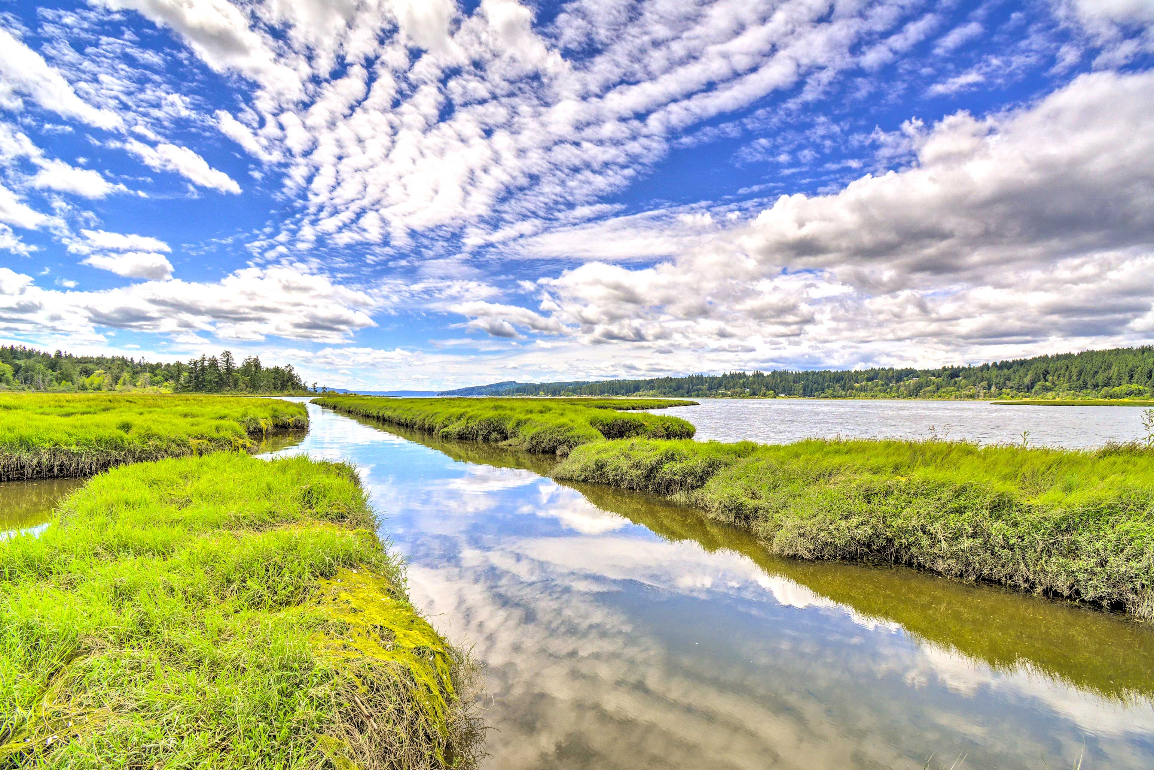 Hood Canal | Surrounding Area