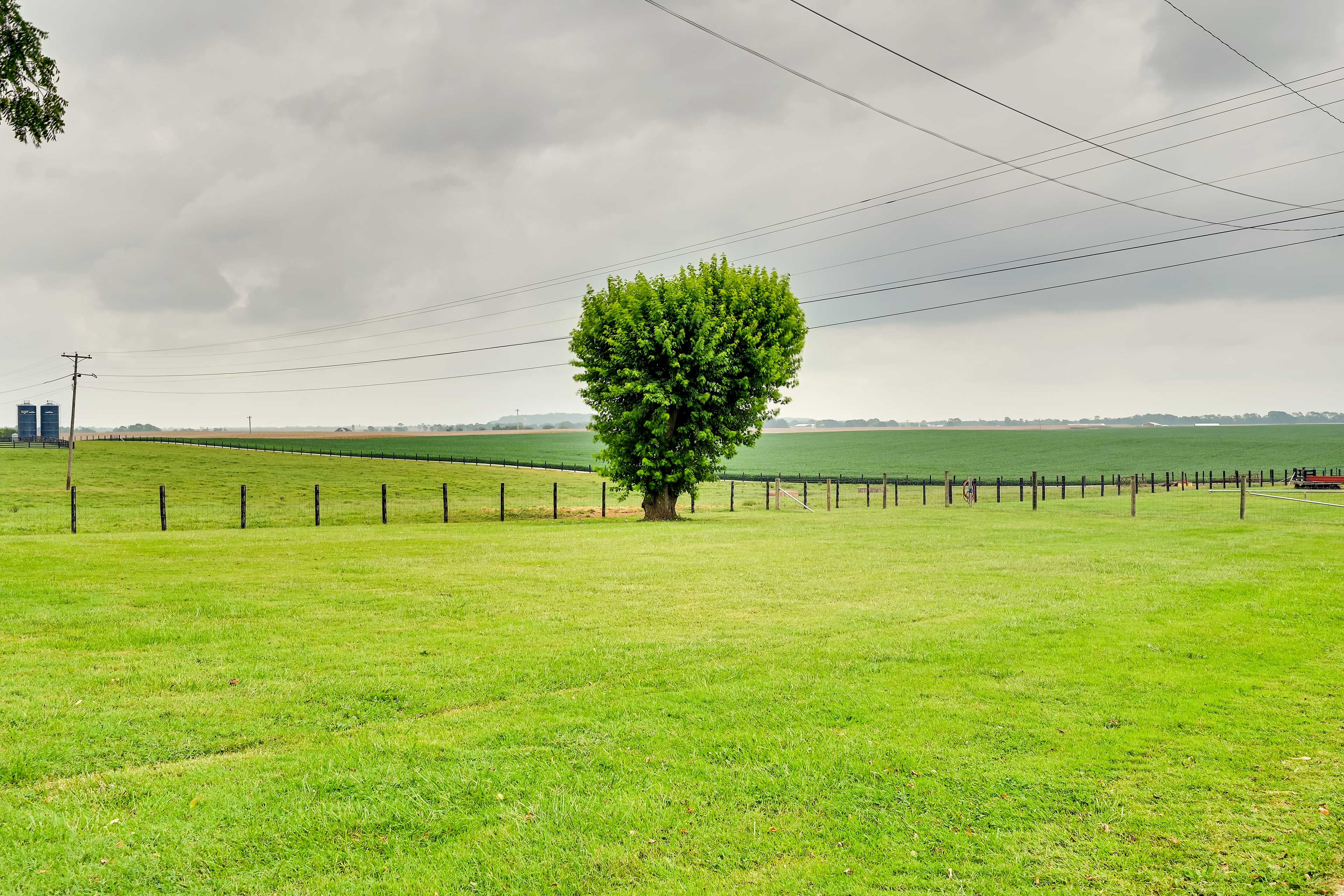 Image 35