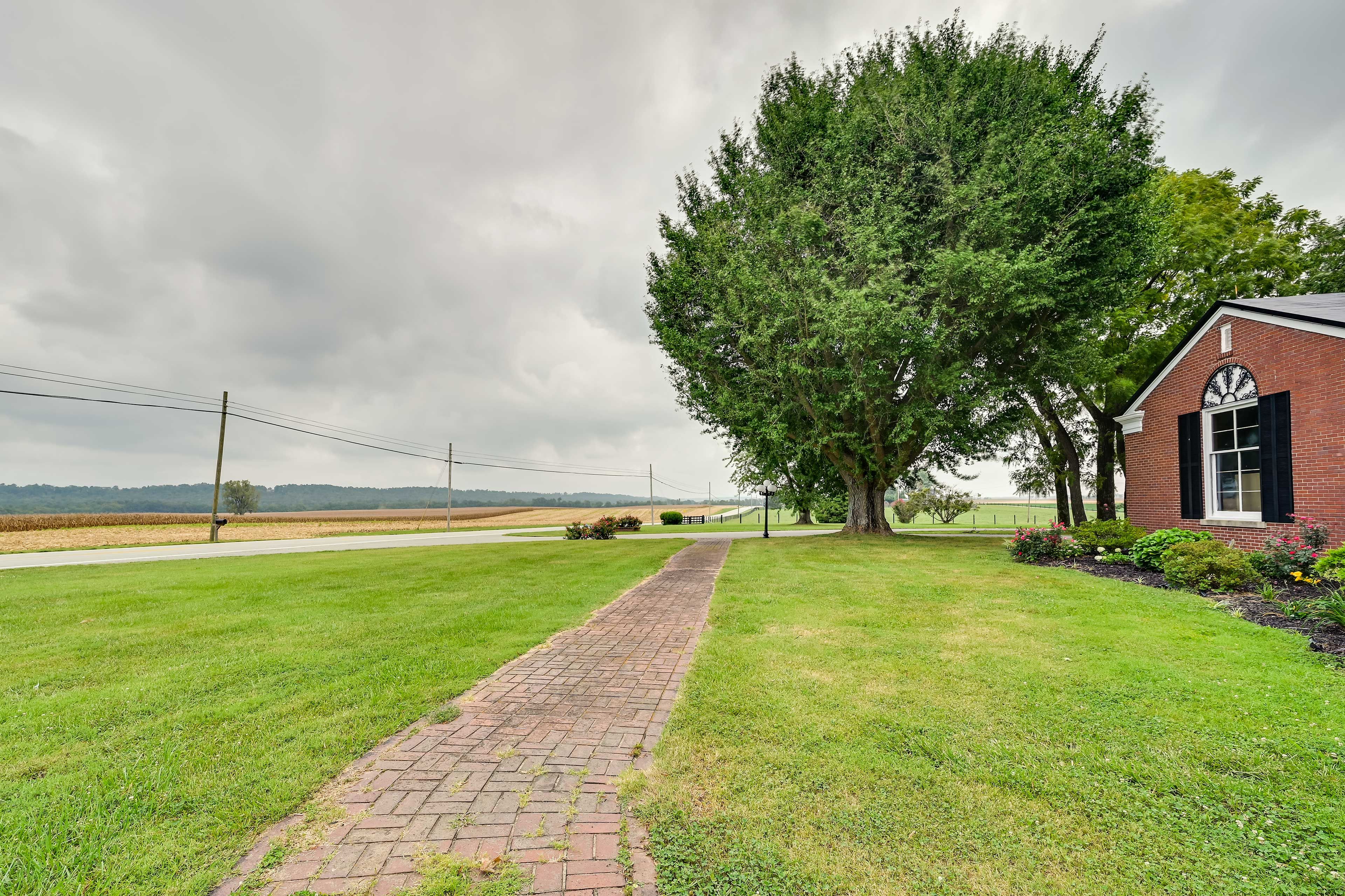 Surrounding Area | Spacious Yard