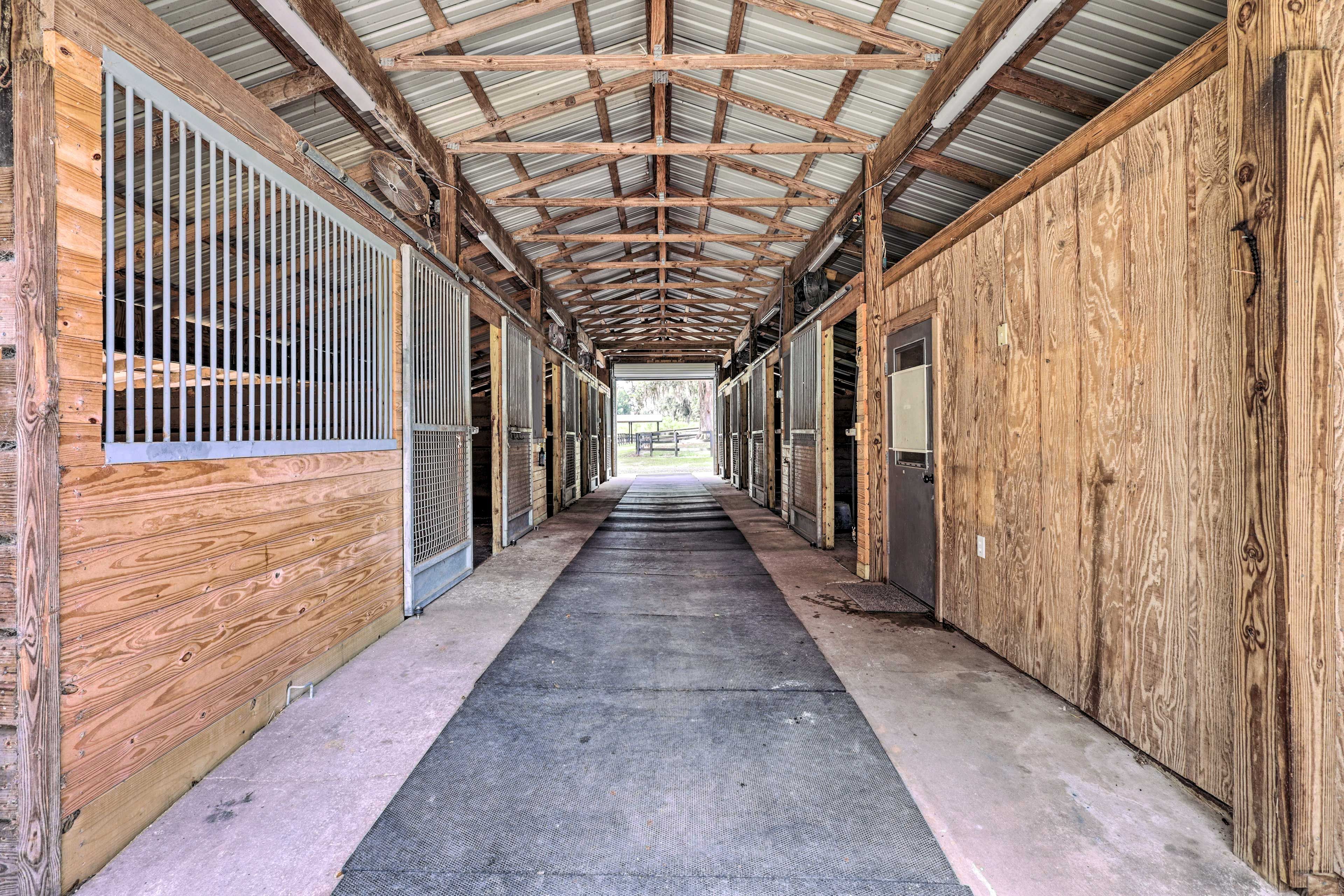 Working Horse Farm