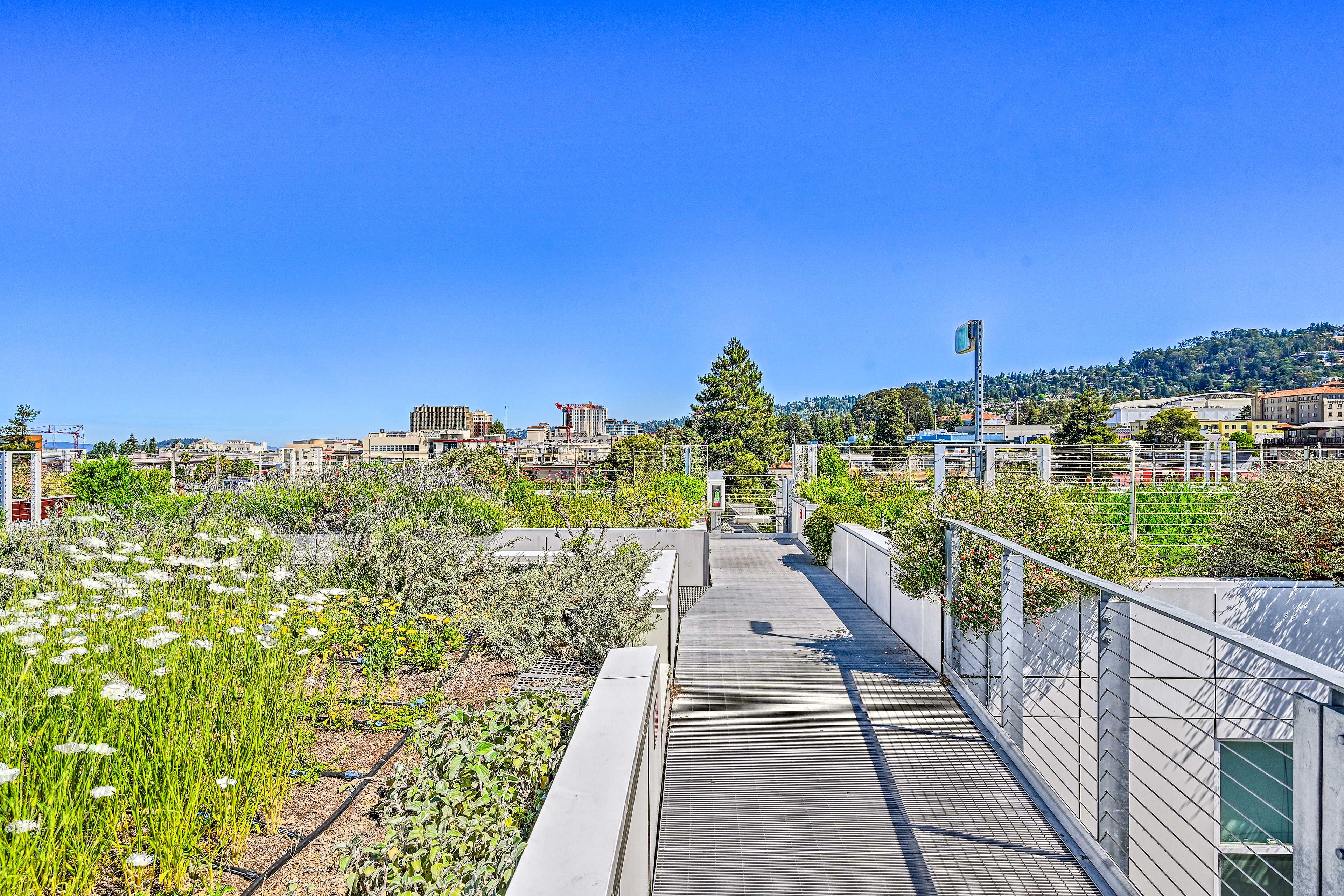 Rooftop Deck | City & Ocean Views