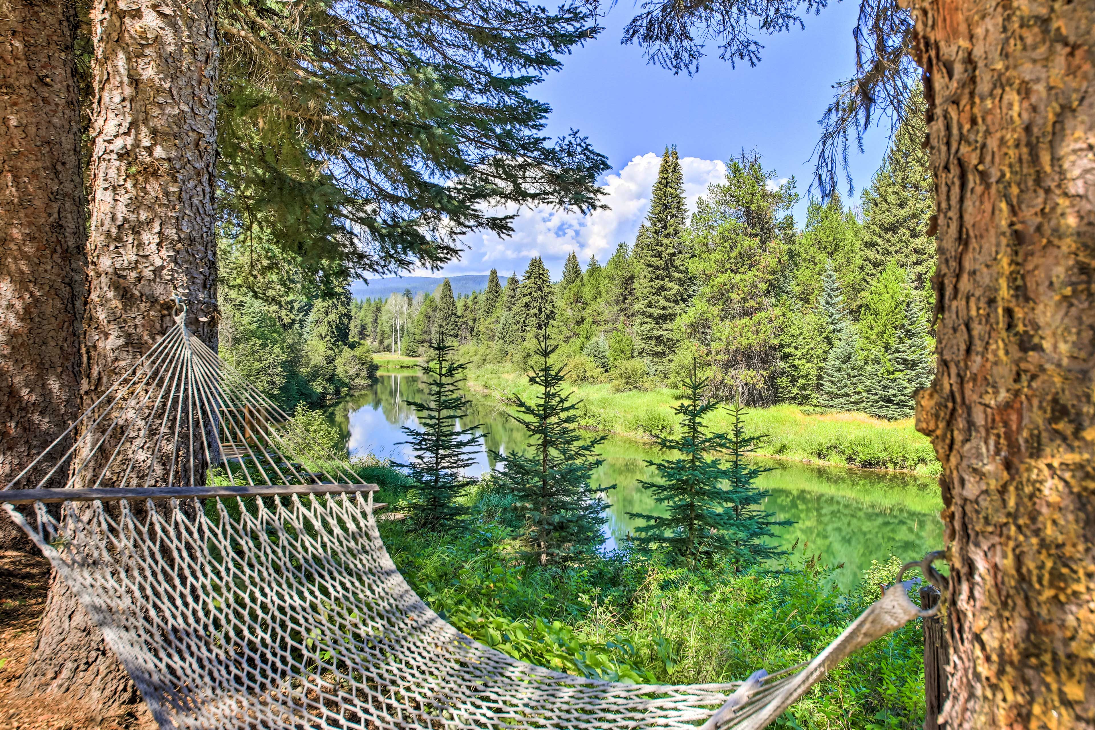 Hammock