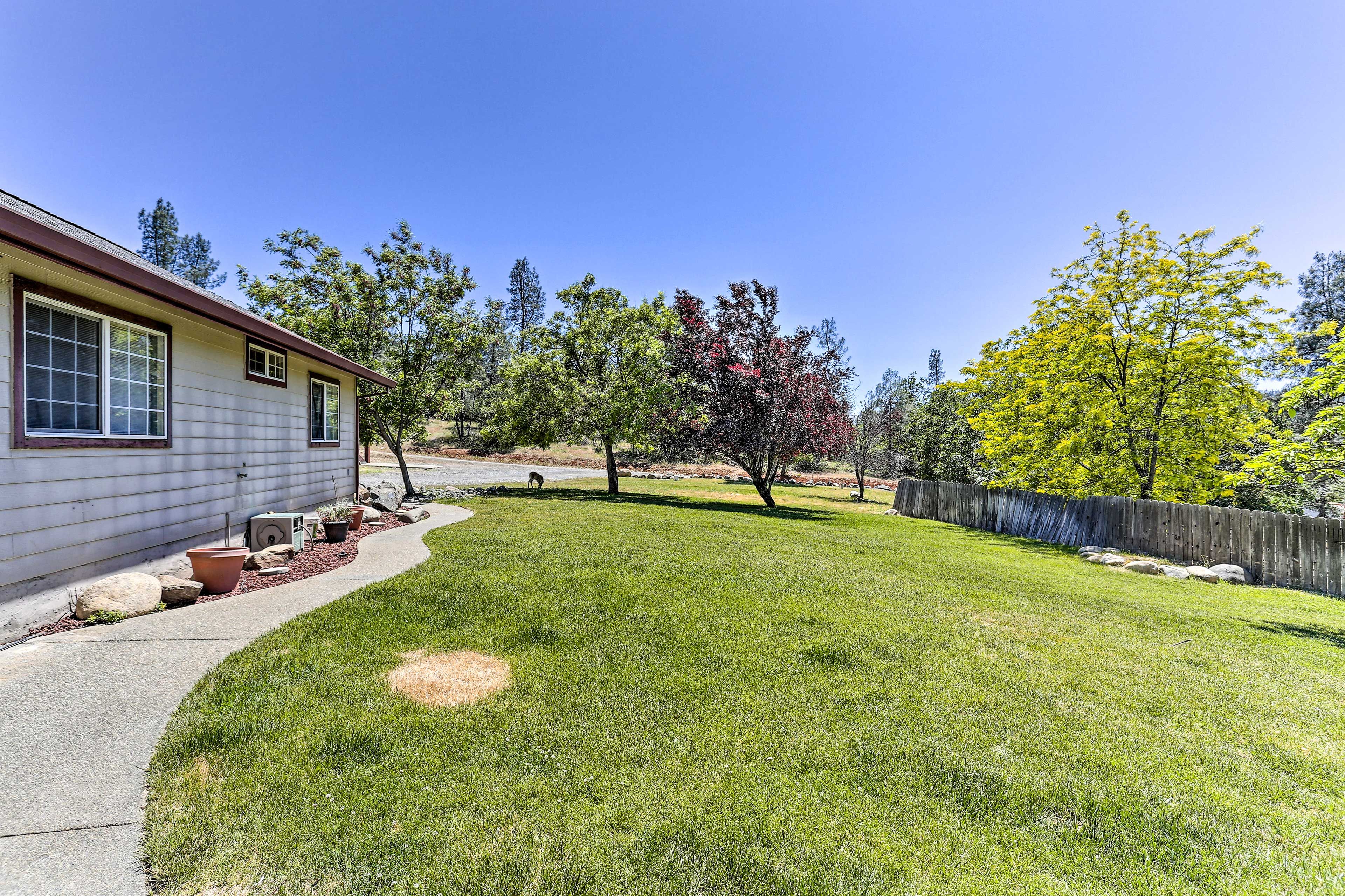 Private Yard