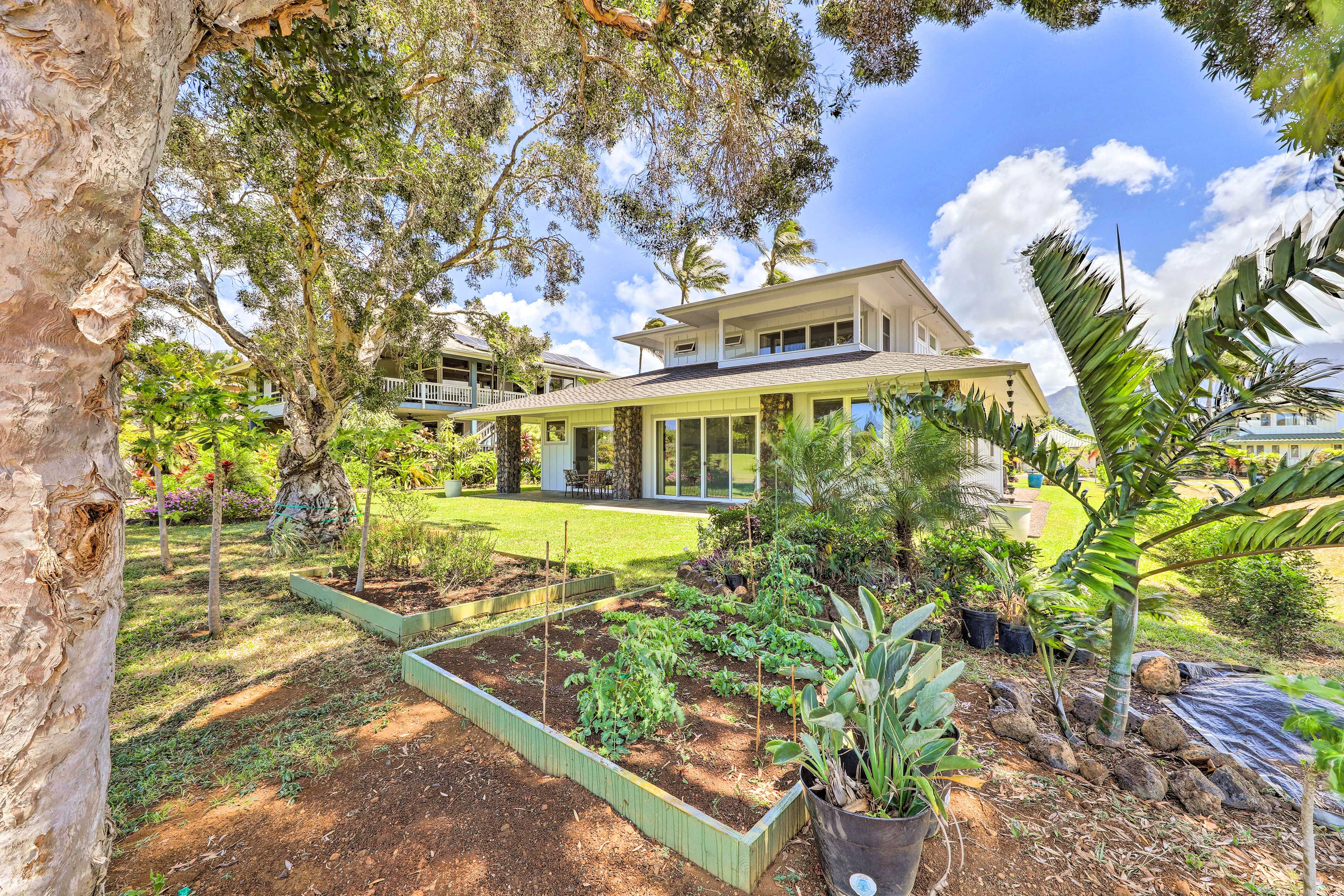 Spacious Yard | Garden