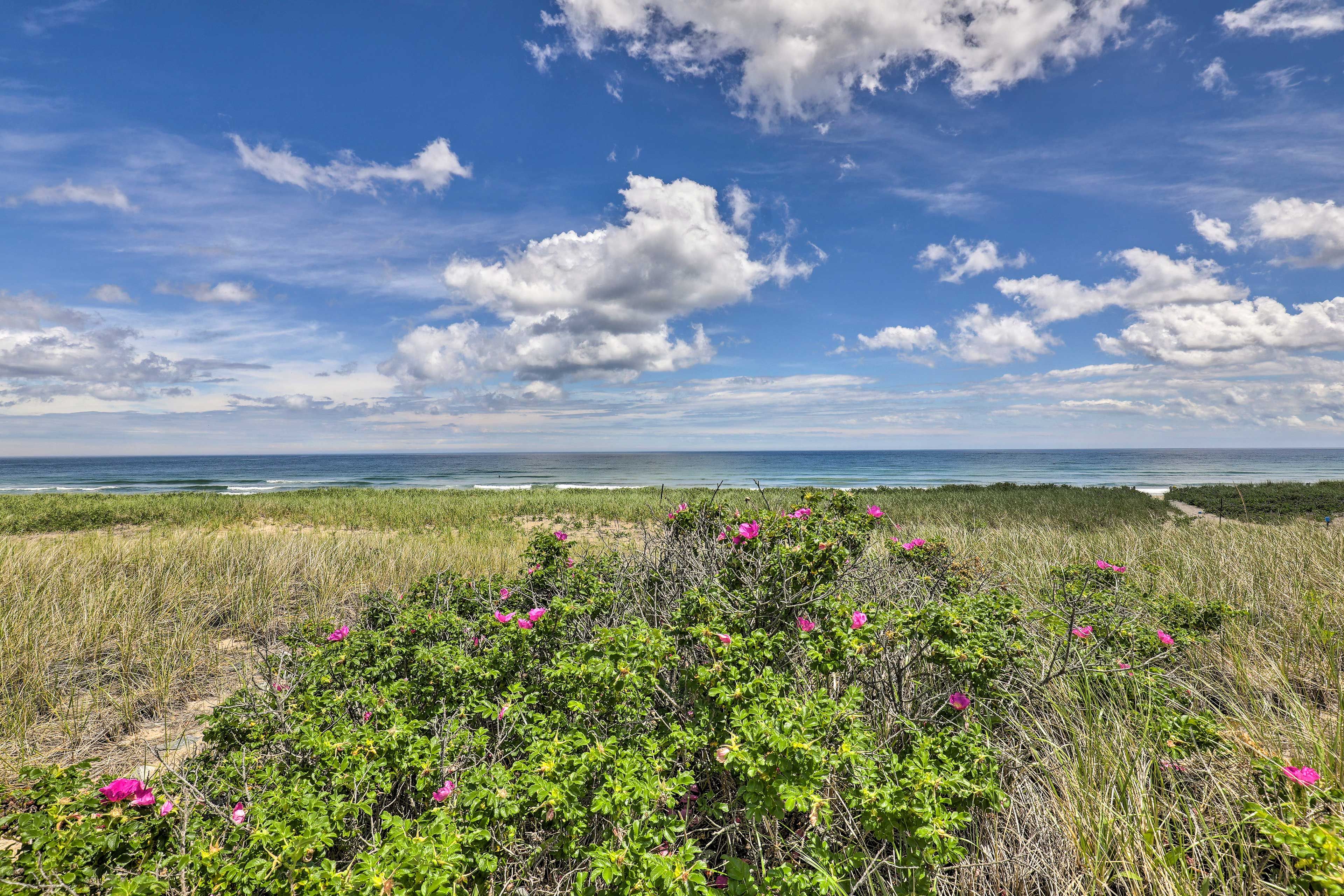 Salisbury Beach | On-Site Access