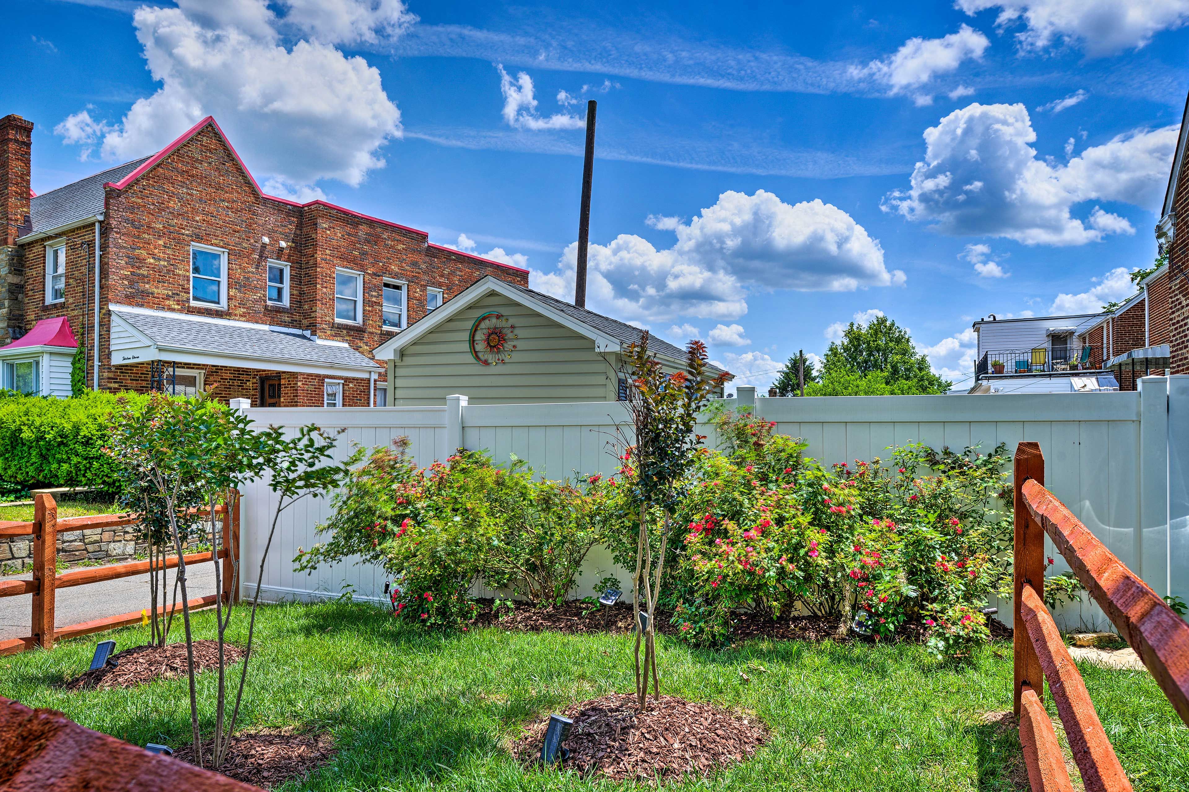 Yard