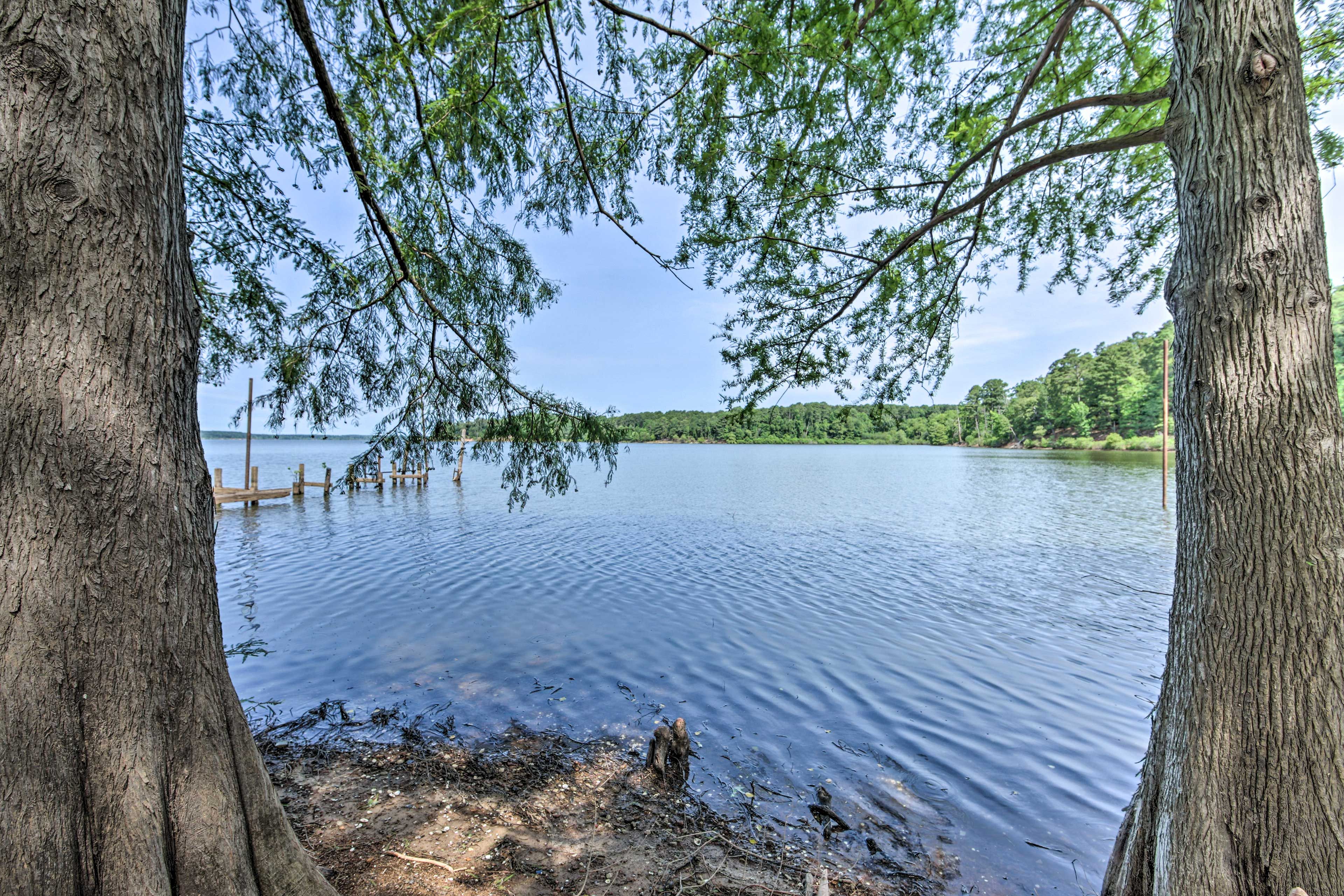 Lake O' the Pines | Fire Pit
