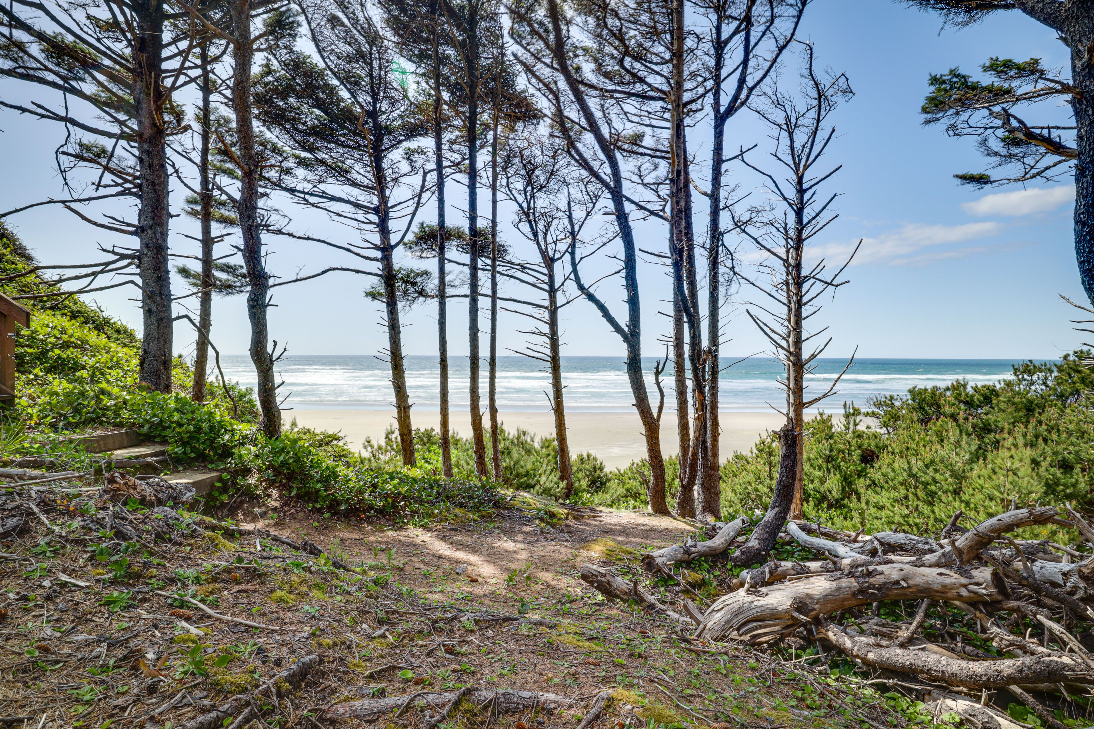 Beach Path