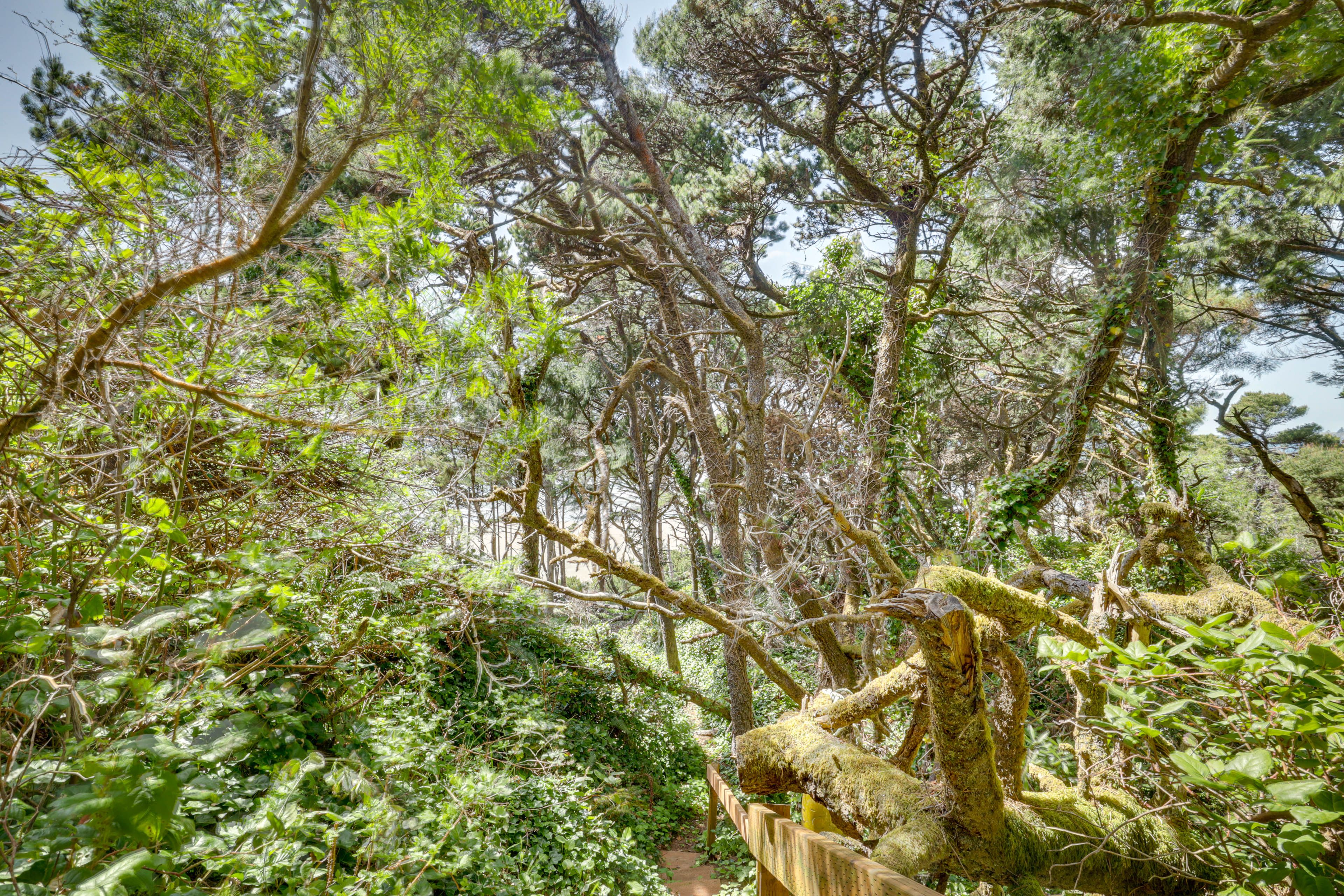 Beach Path