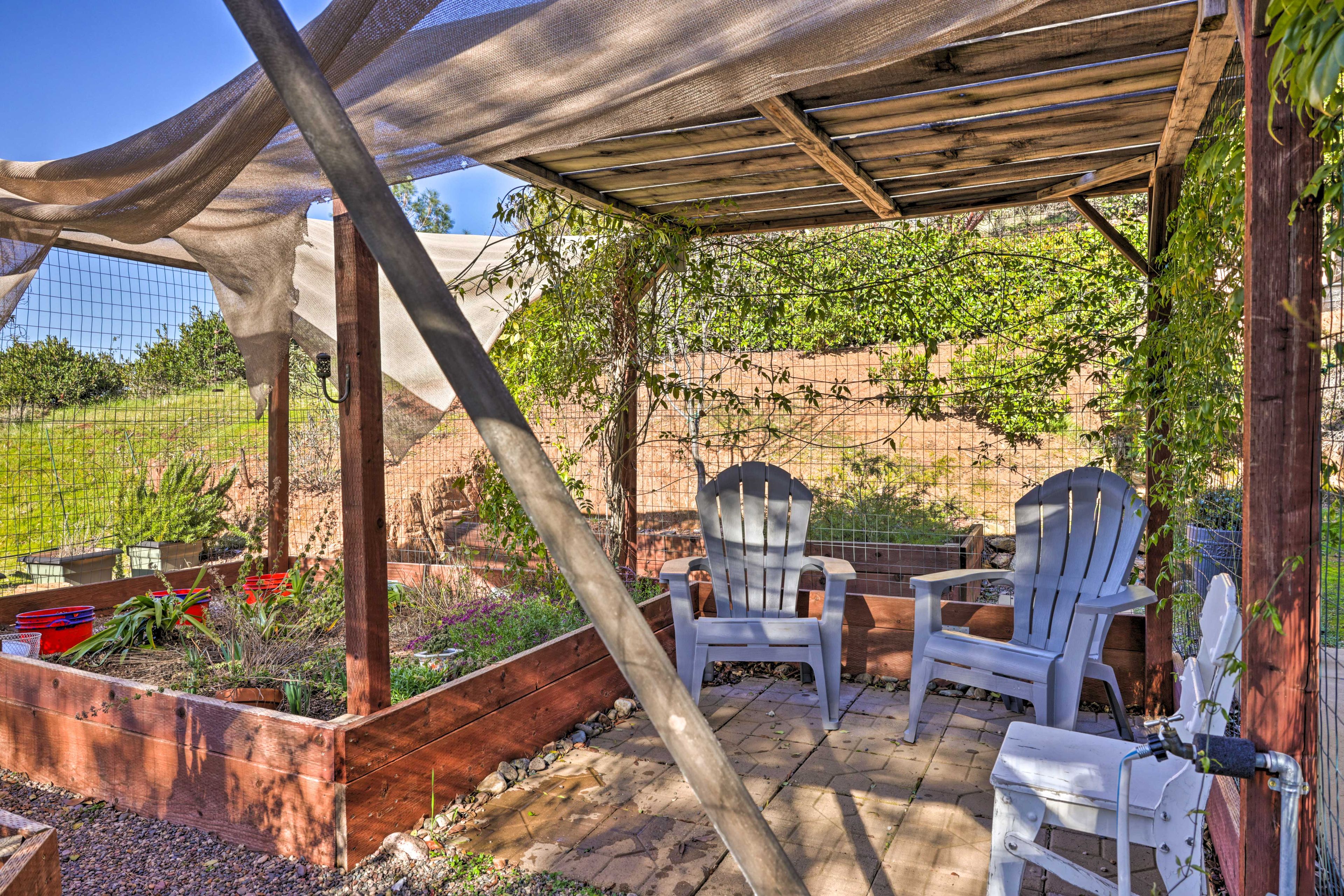 Private Yard | Garden