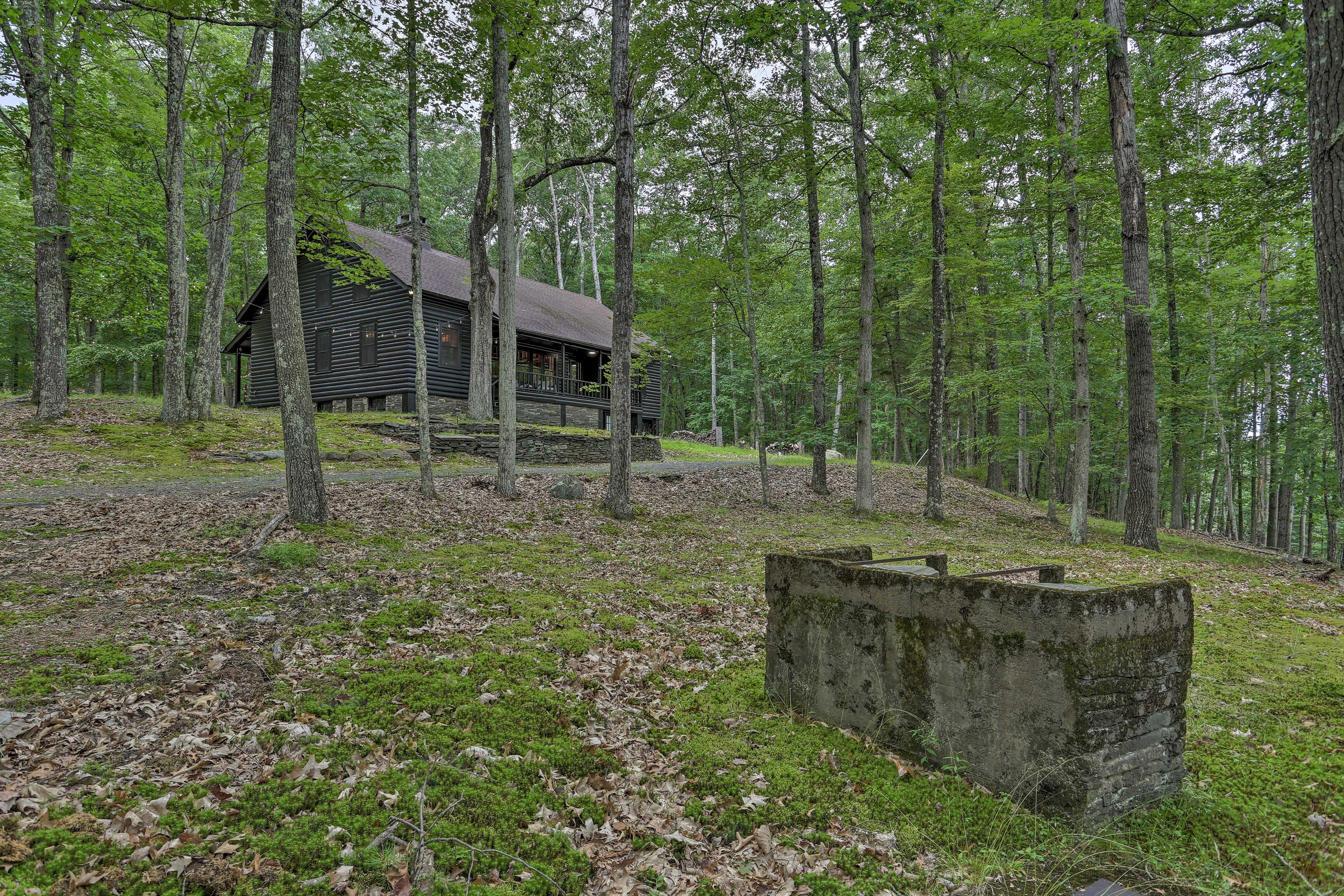 Image 35