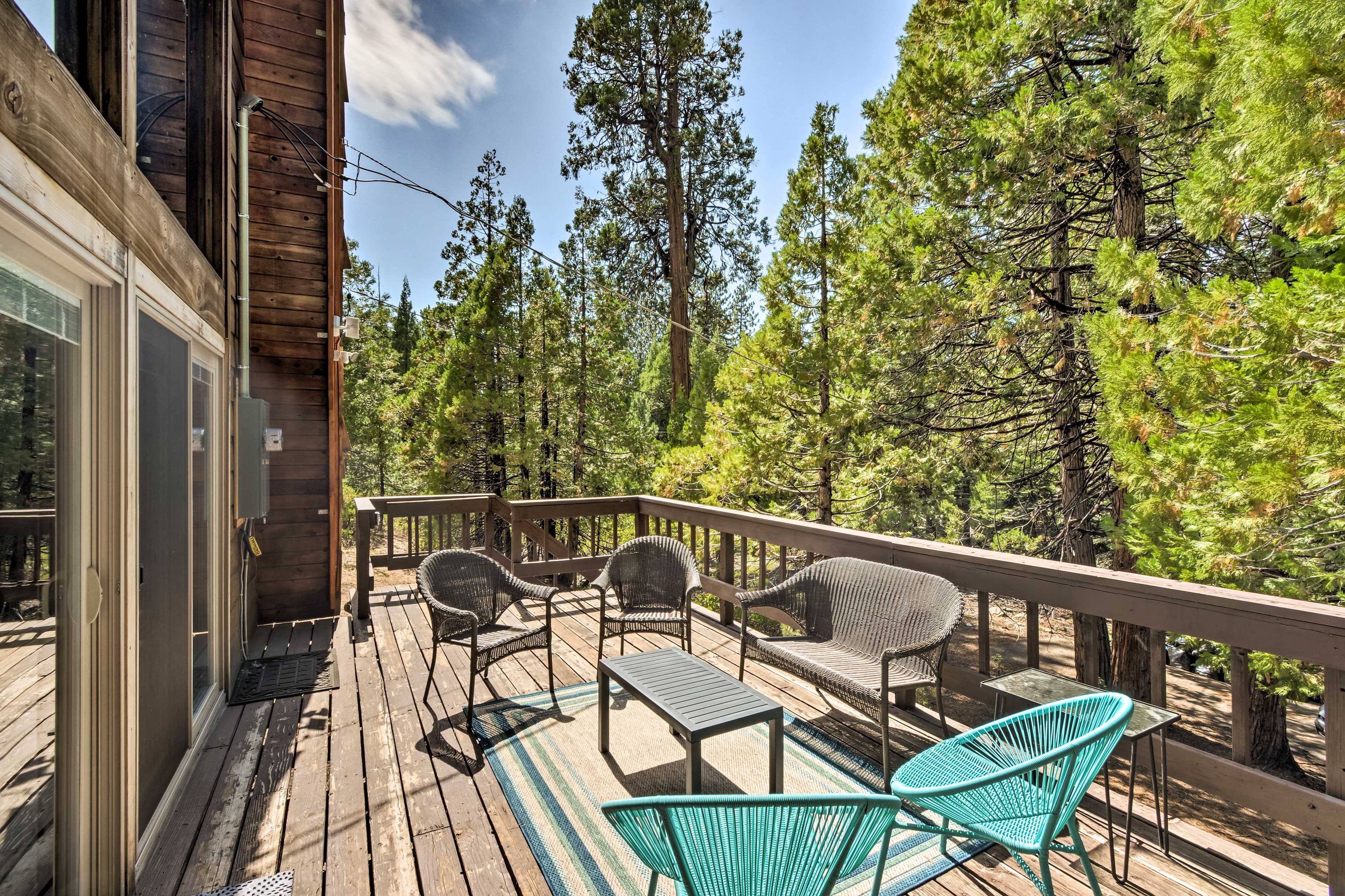 Deck | Forest Views