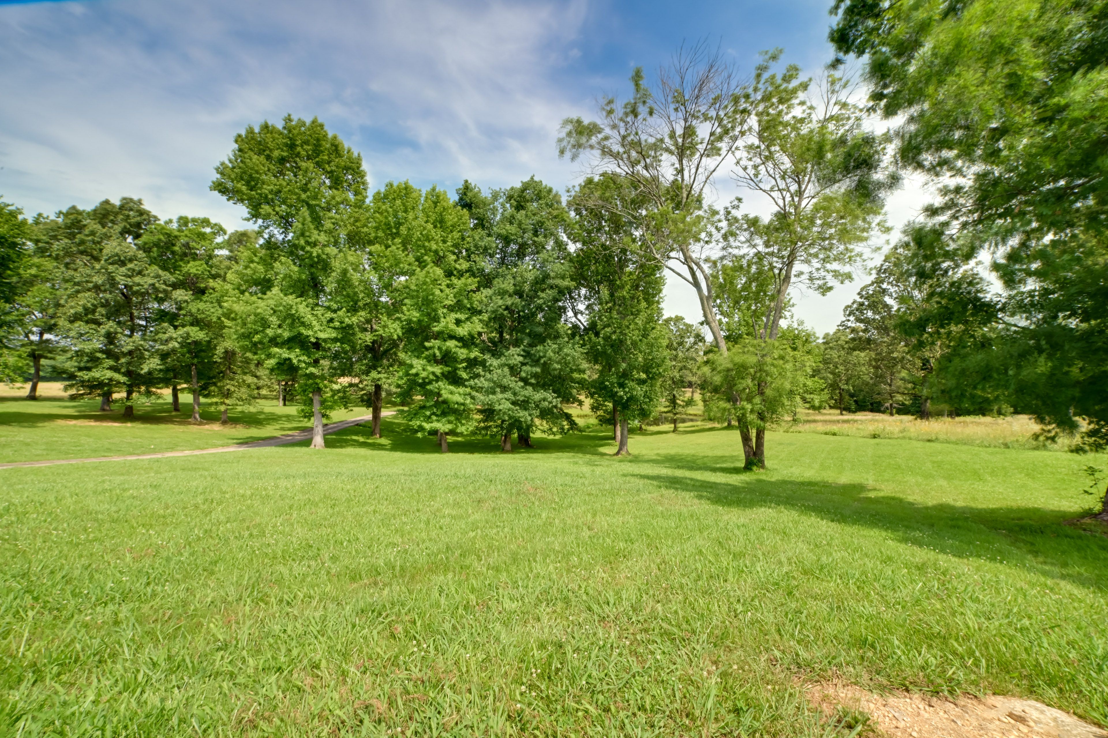 Wooded Yard