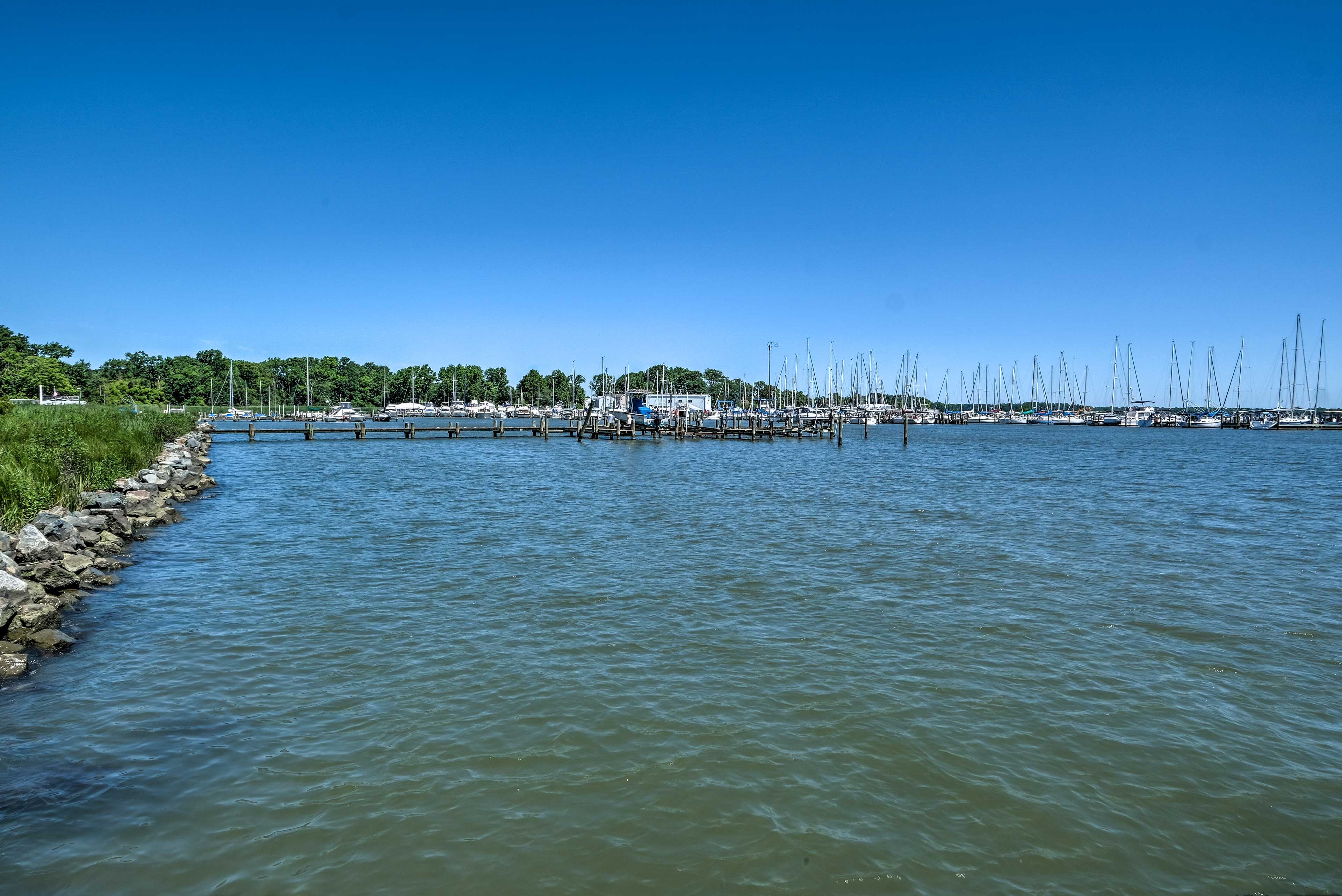 Image 42