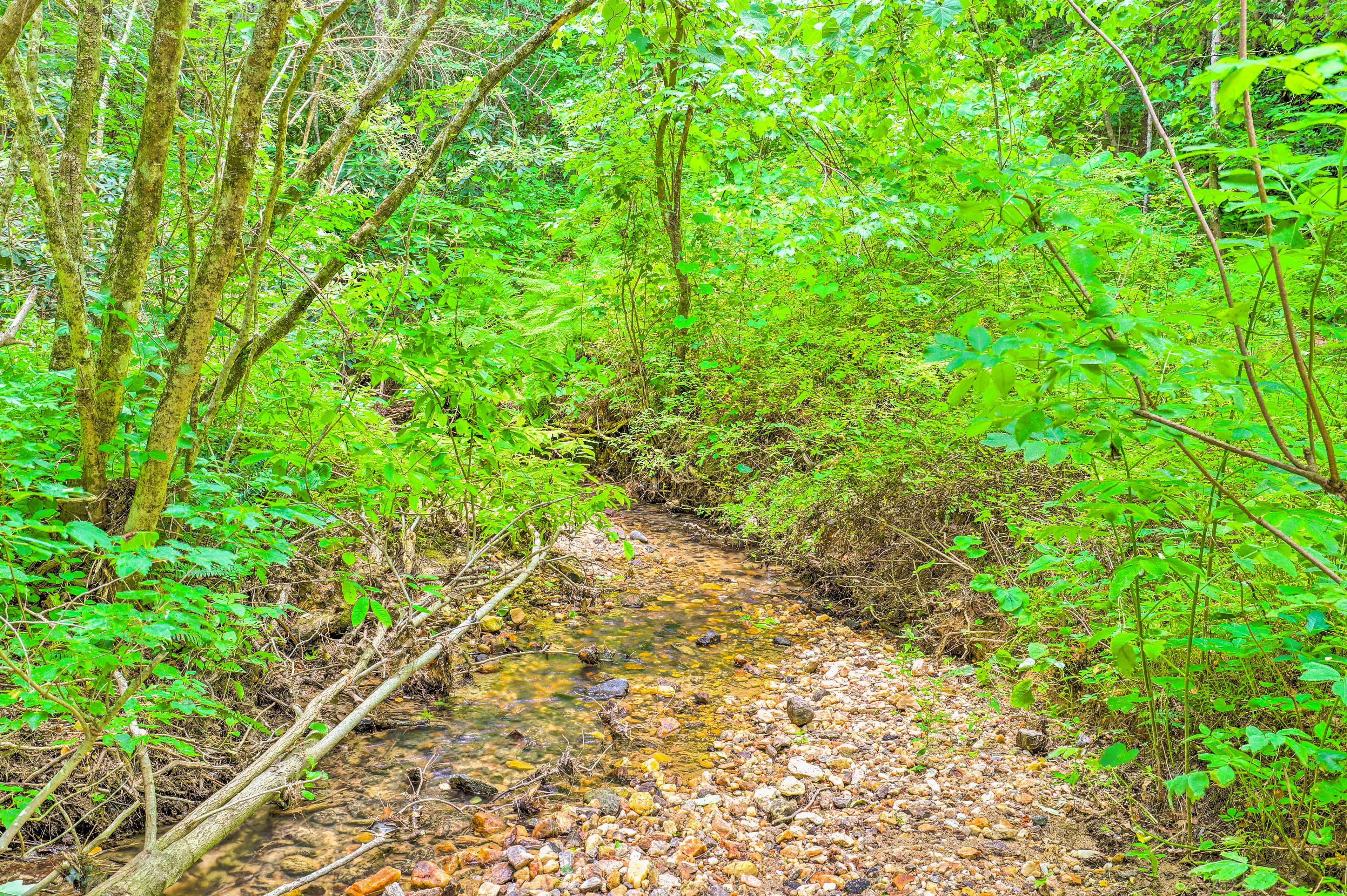 Creek On-Site