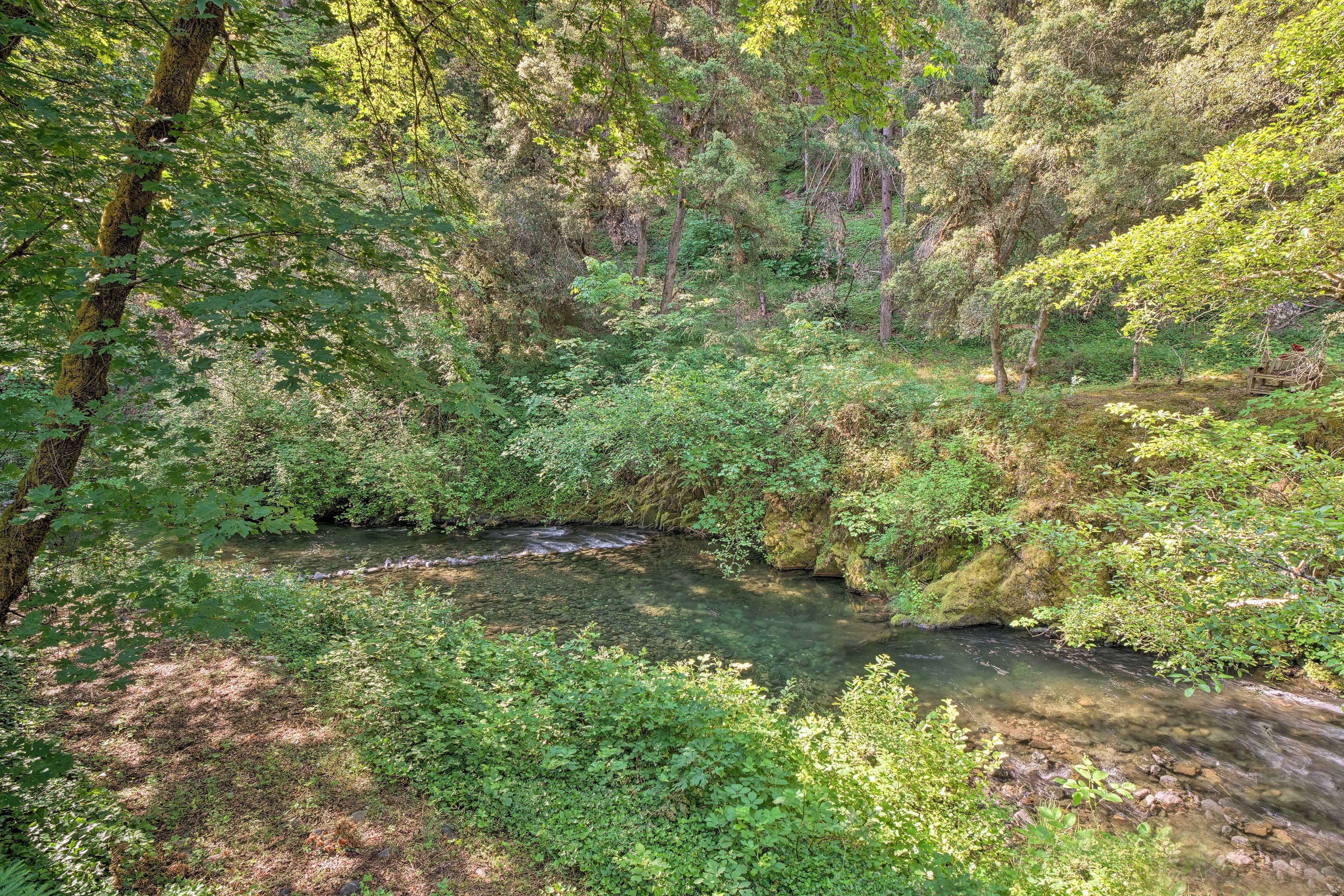 Surrounding Area | Backyard