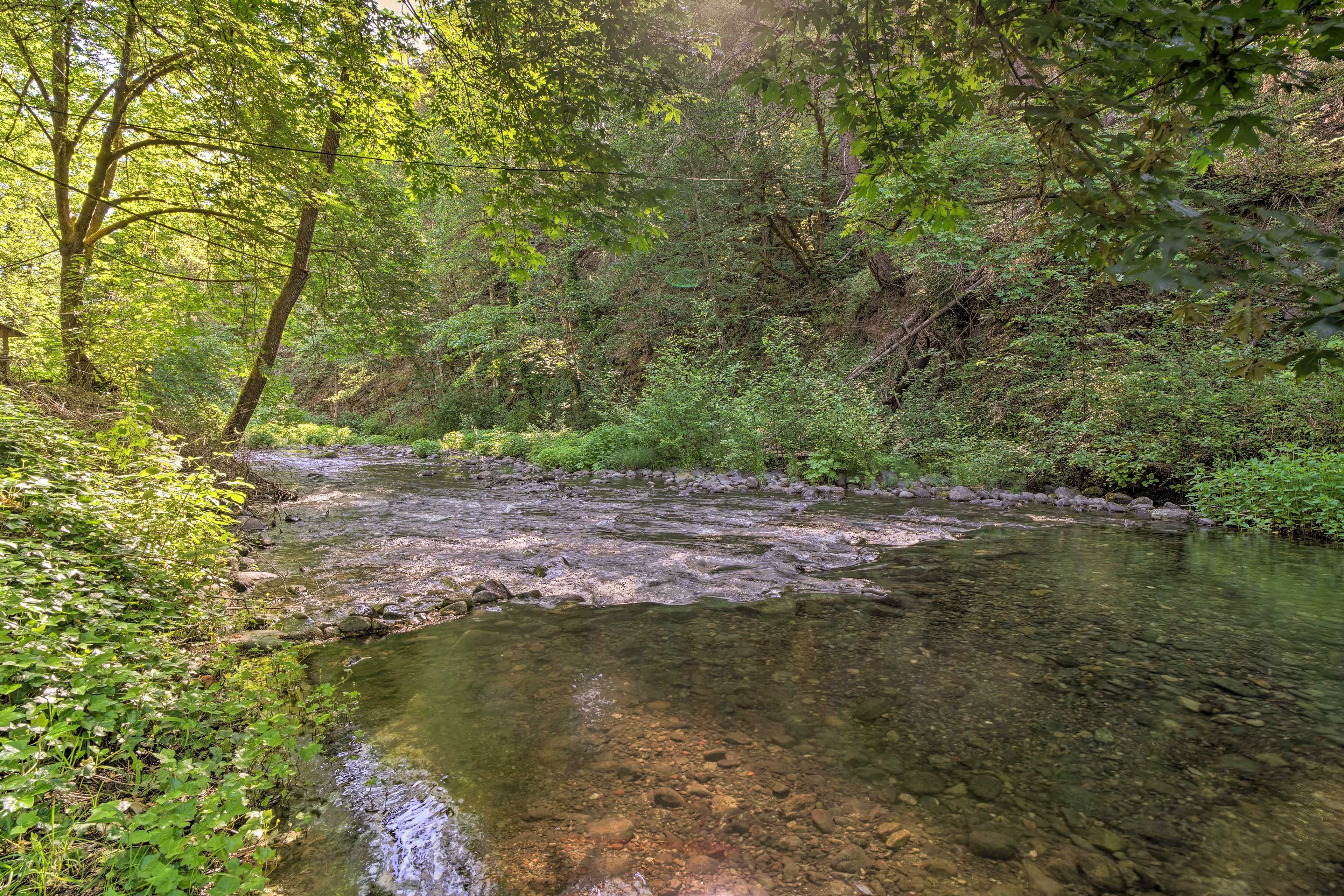 Image 32