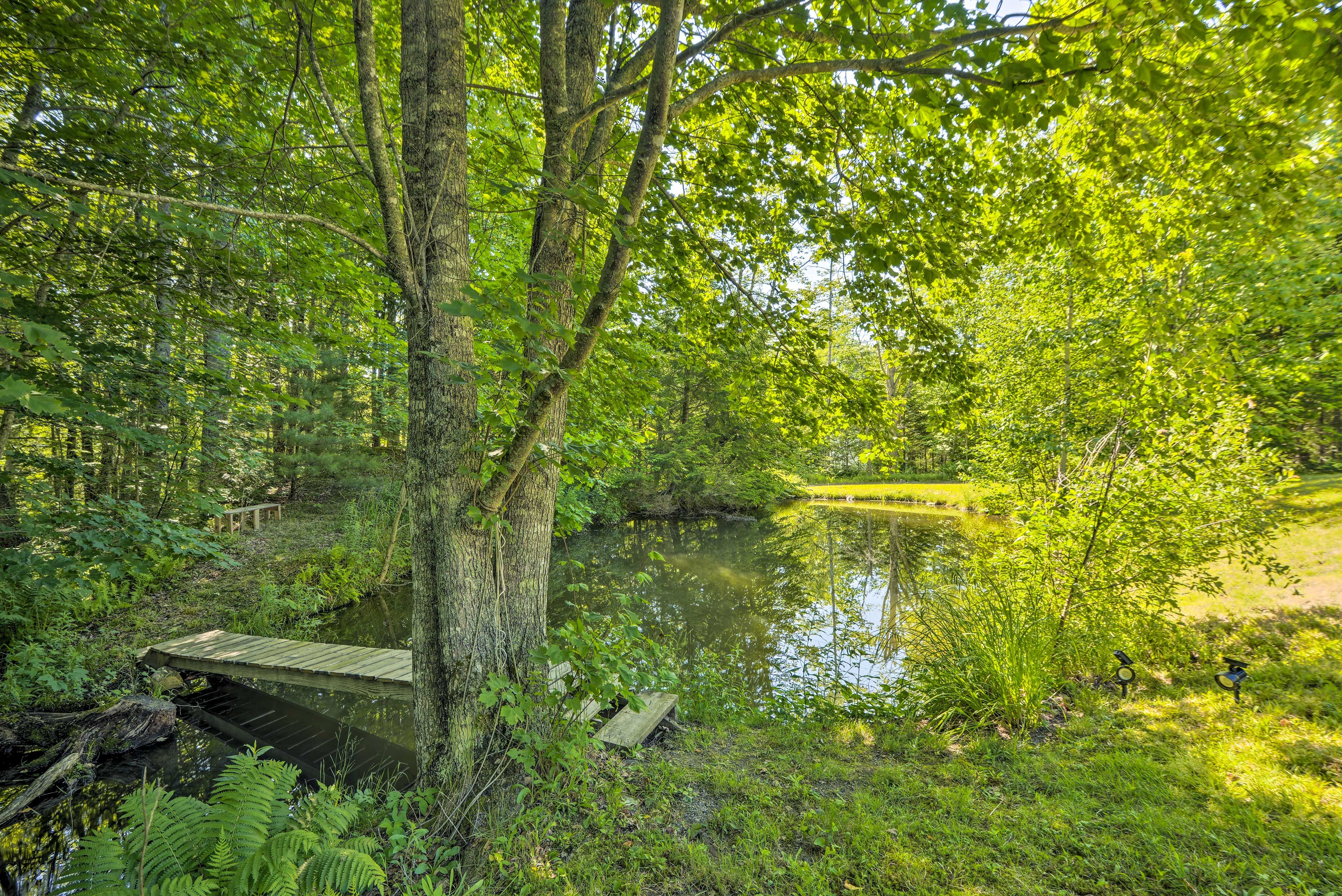 Pond