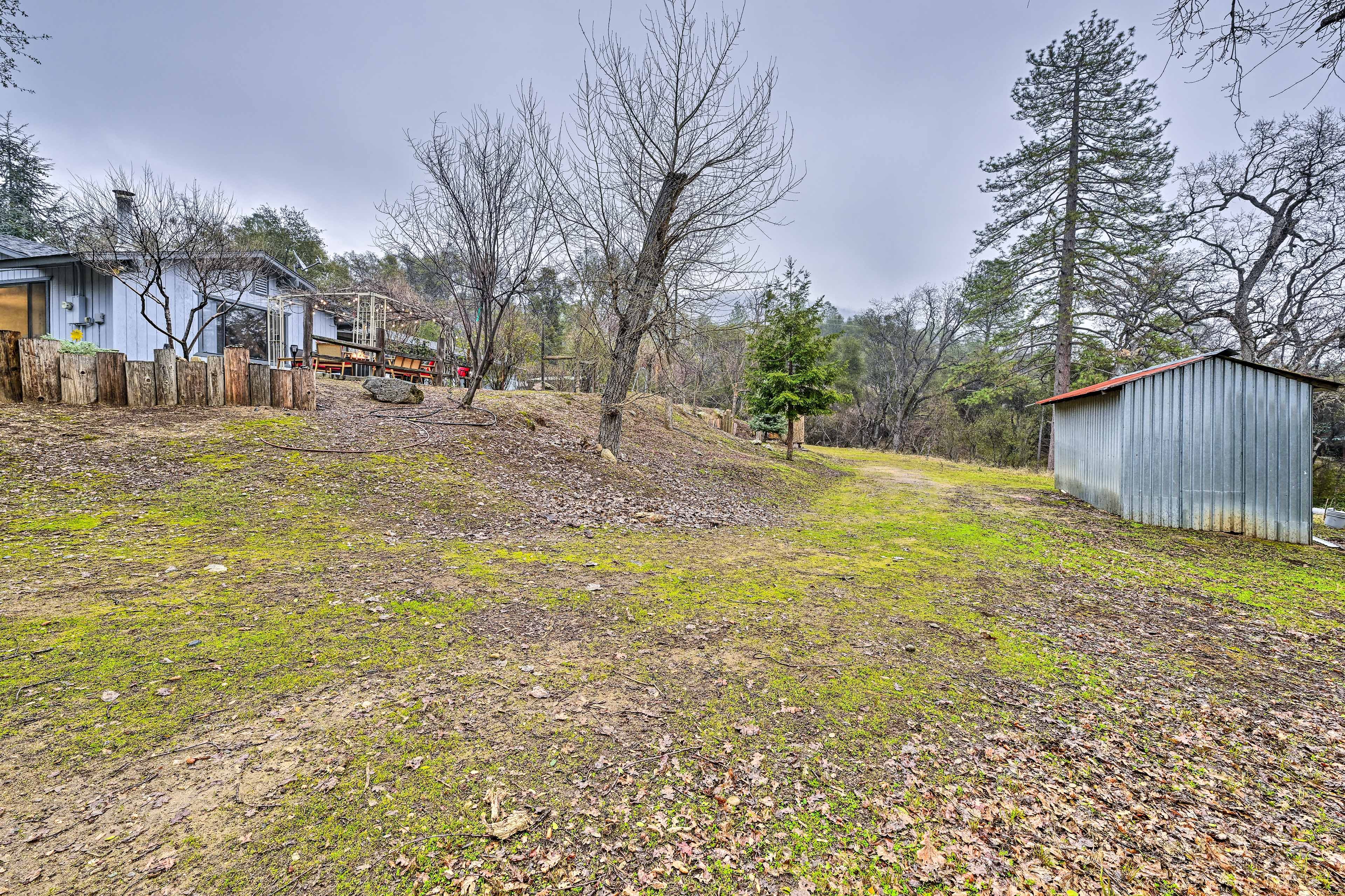 Yard Area