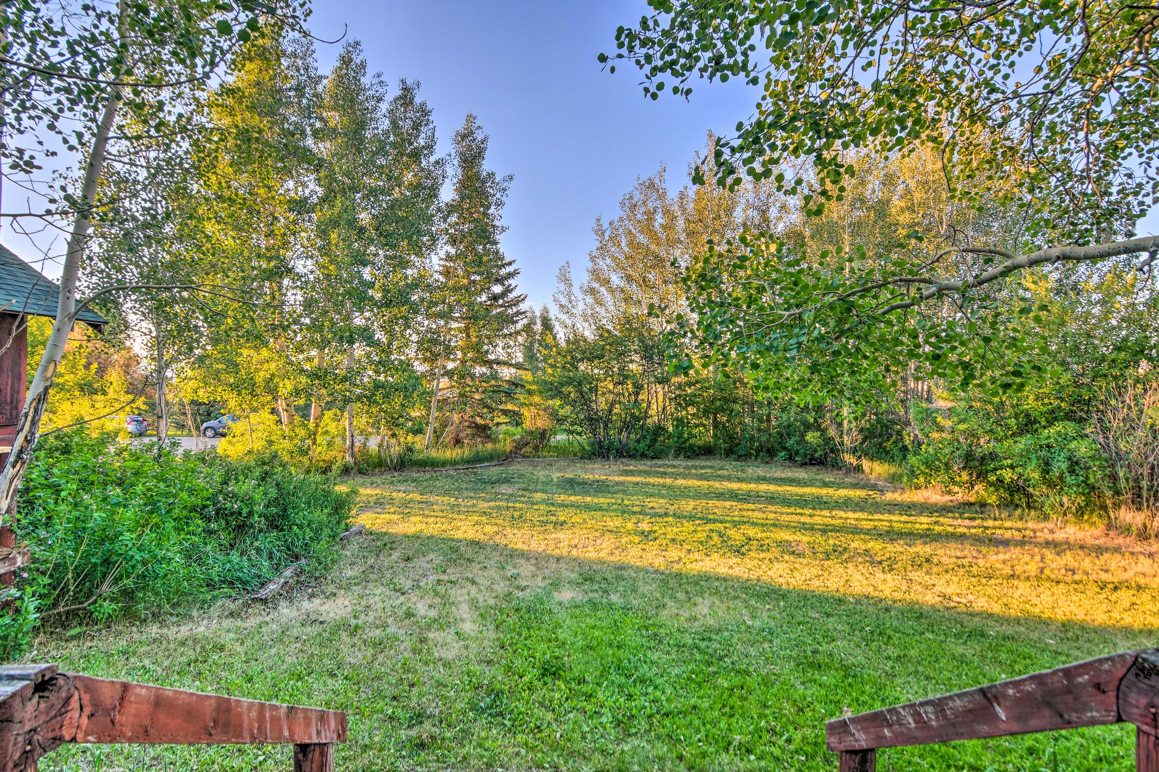 Backyard