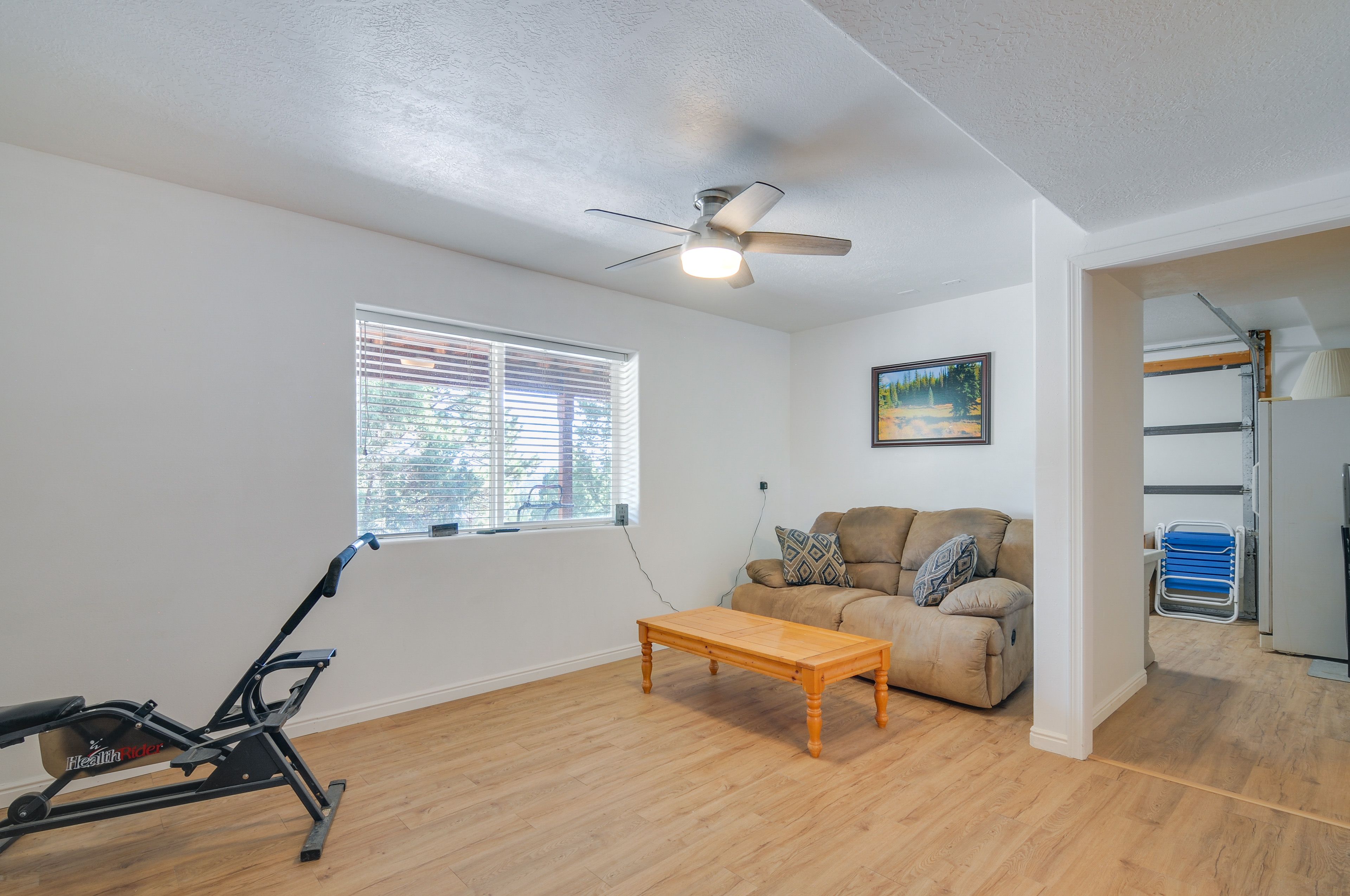 Basement Living Room | Sleeper Sofa