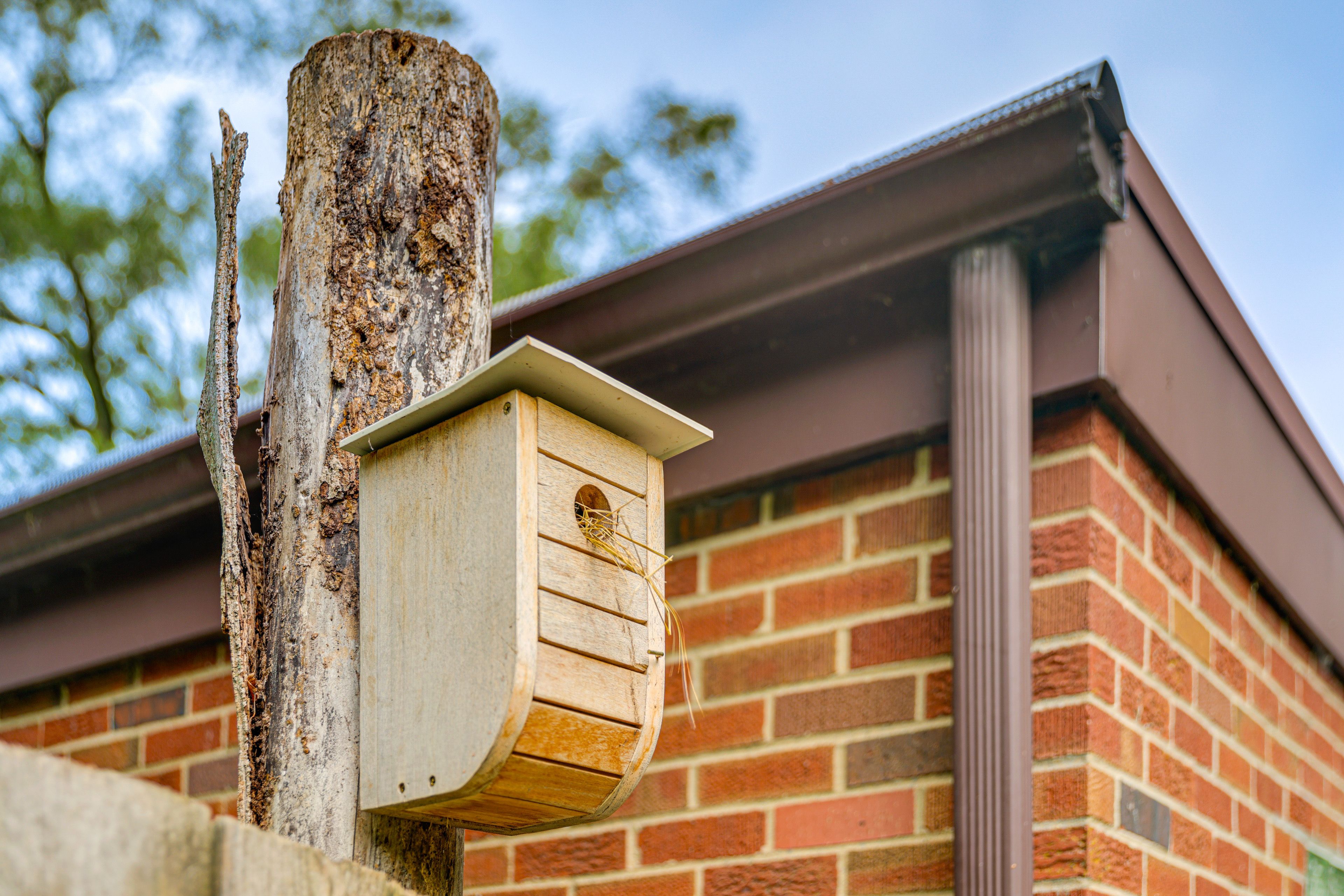 Bird-Friendly Property
