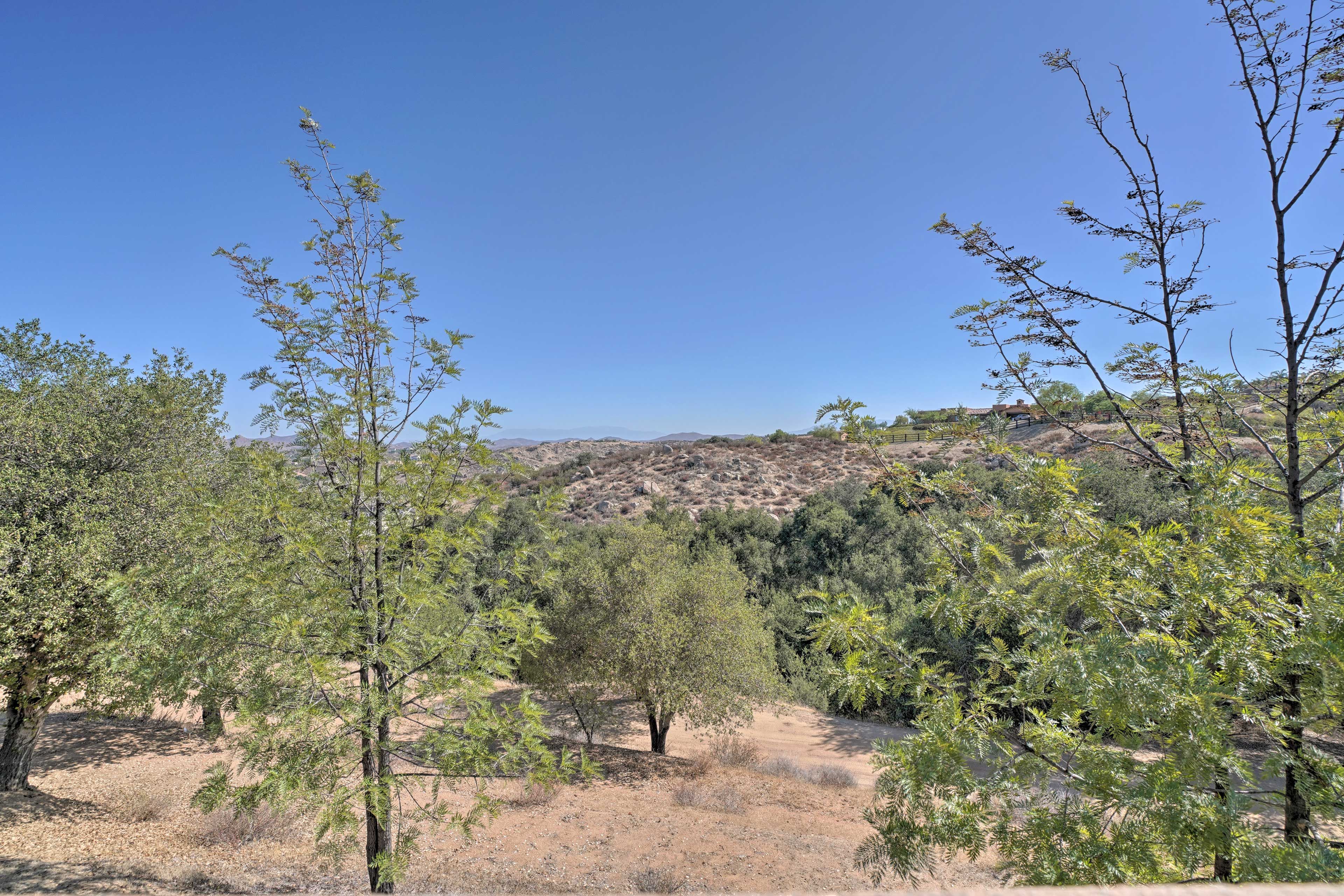 Property Views