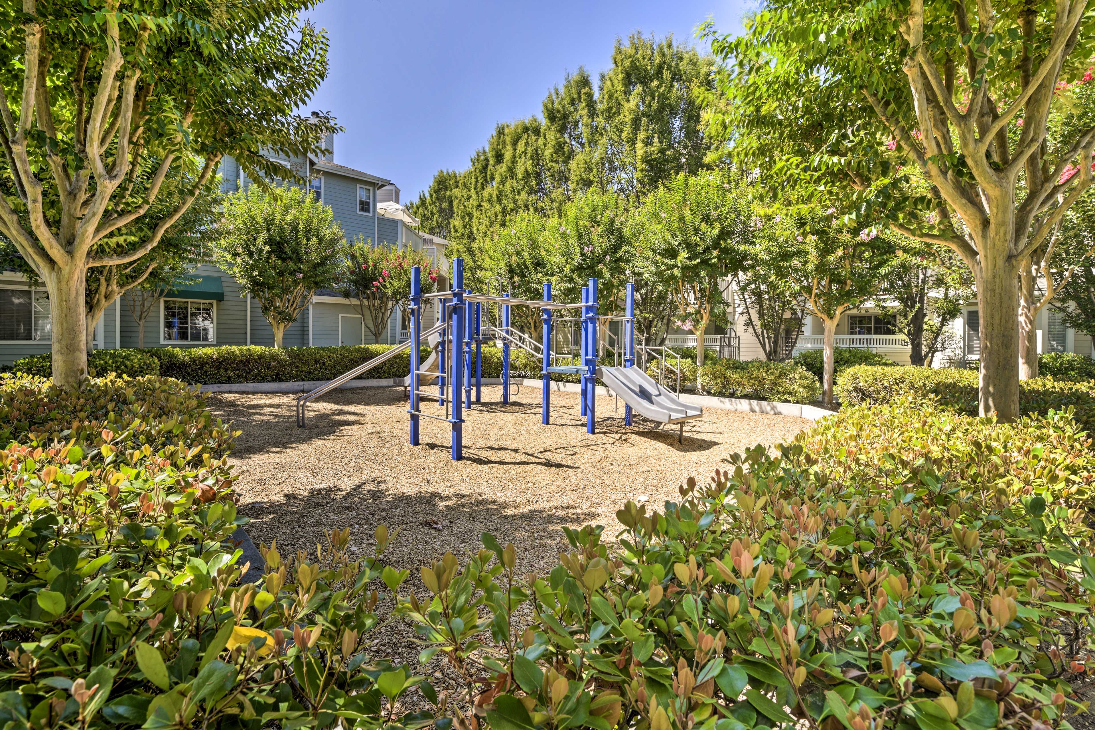 Community Playground