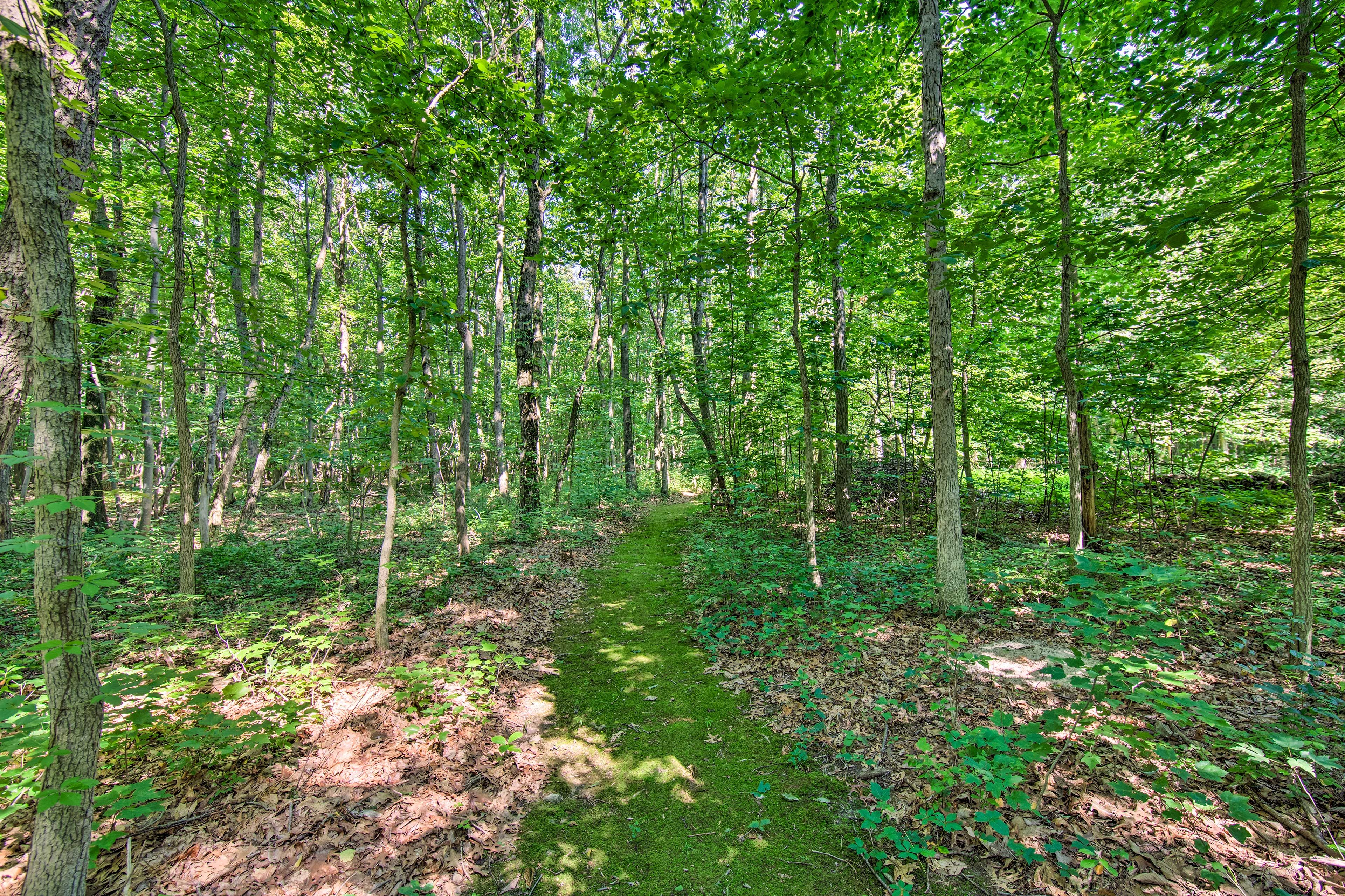 Outdoor Trail