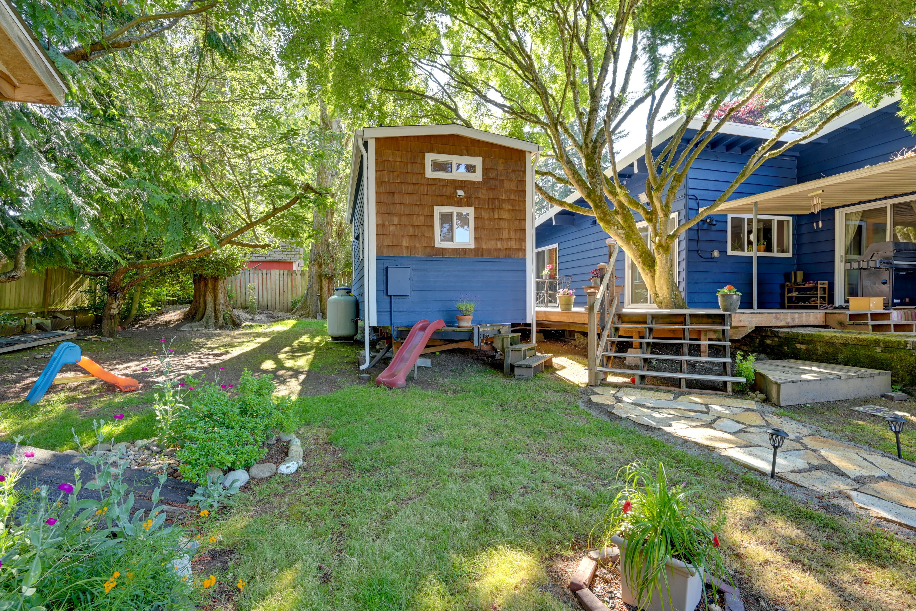Wooded Backyard