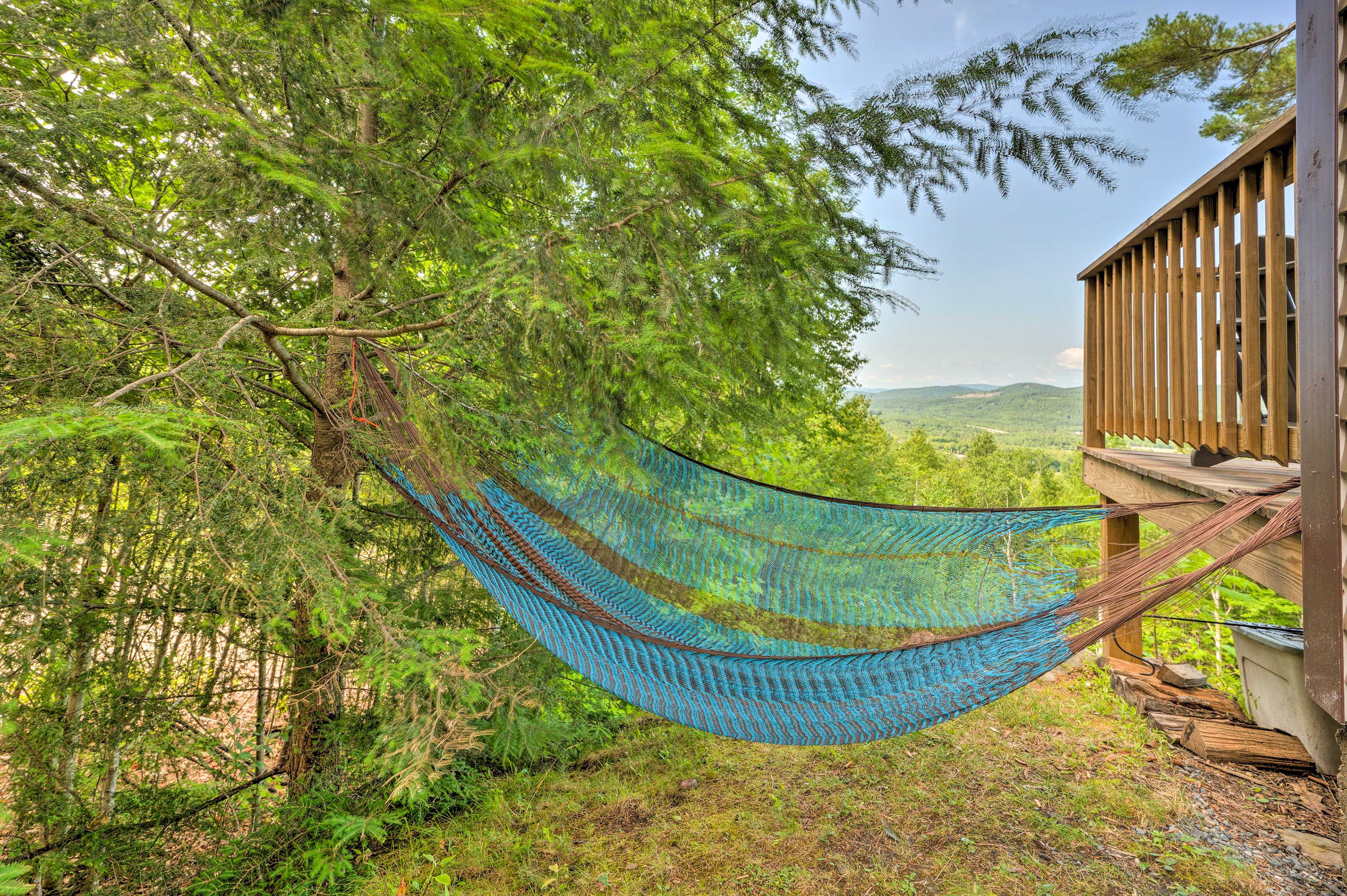 Hammock Area