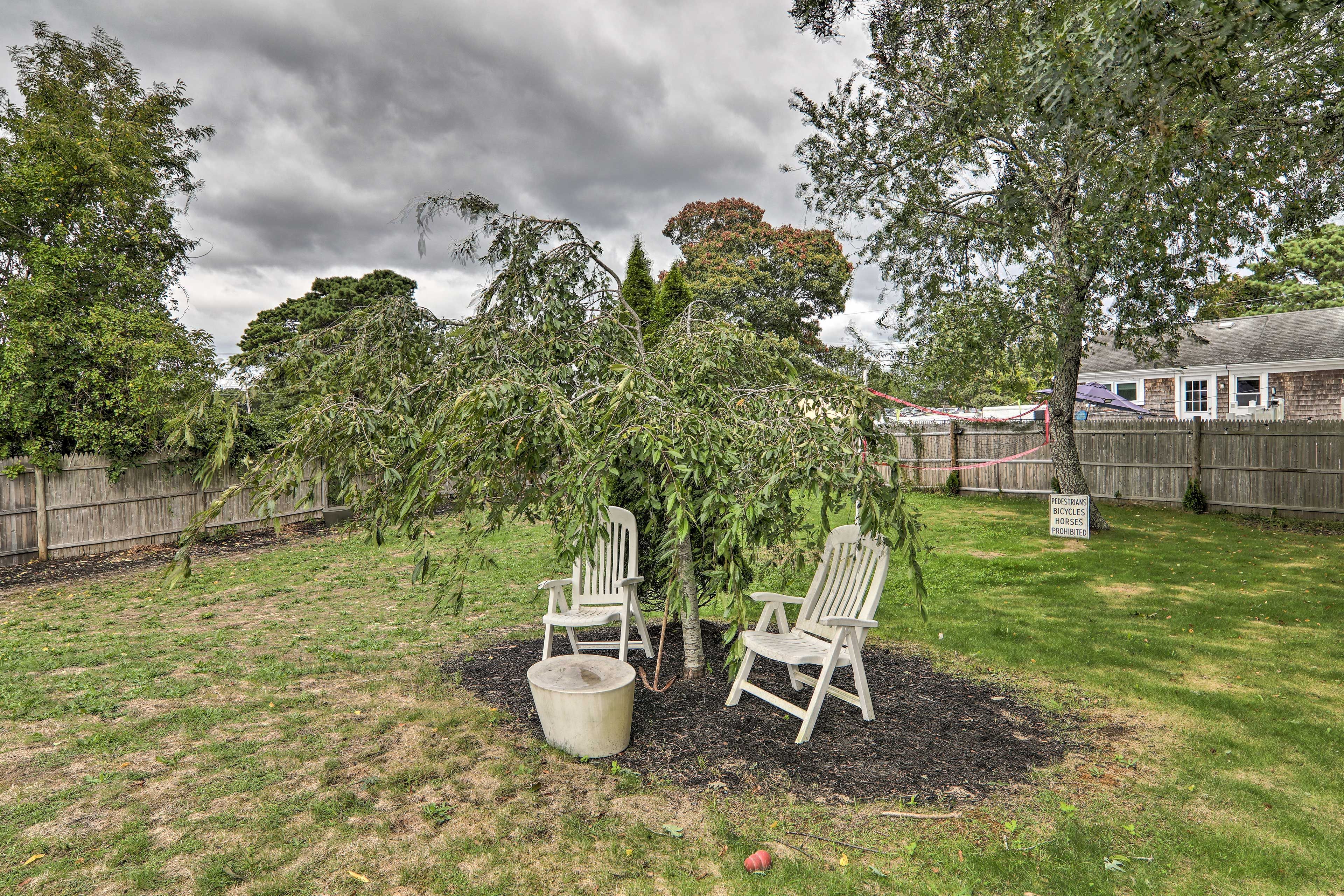 Image 26