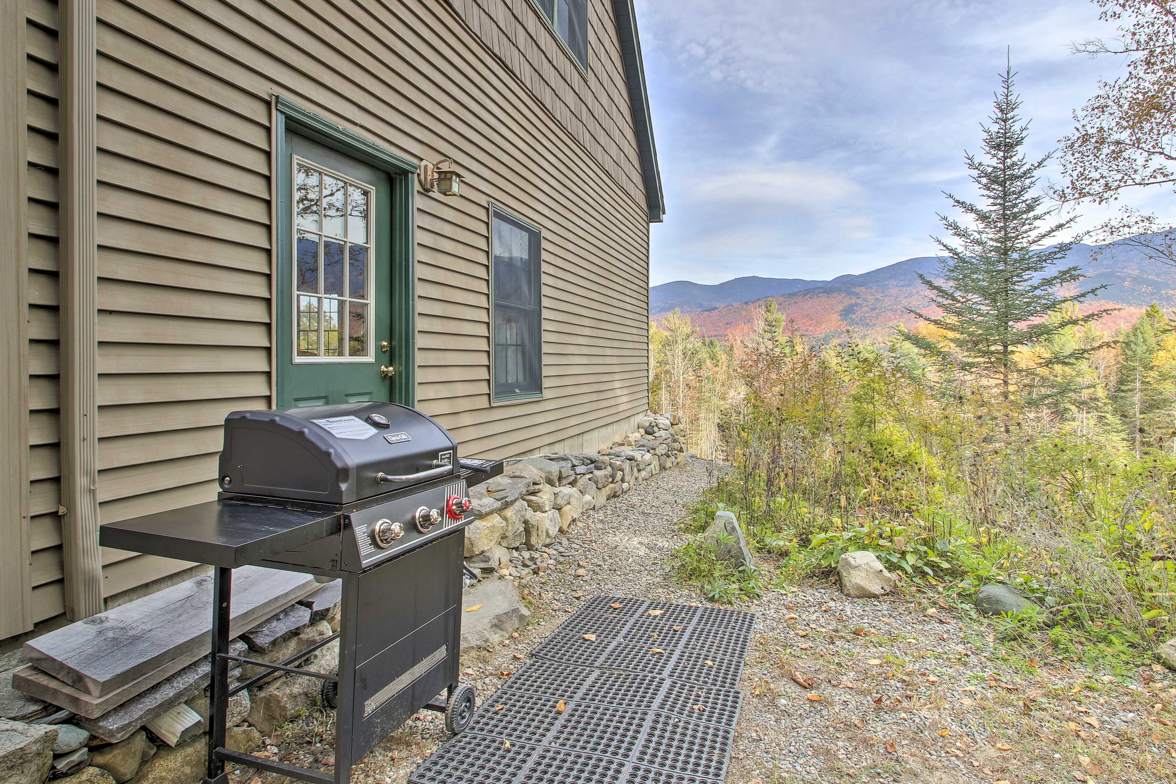 Gas Grill