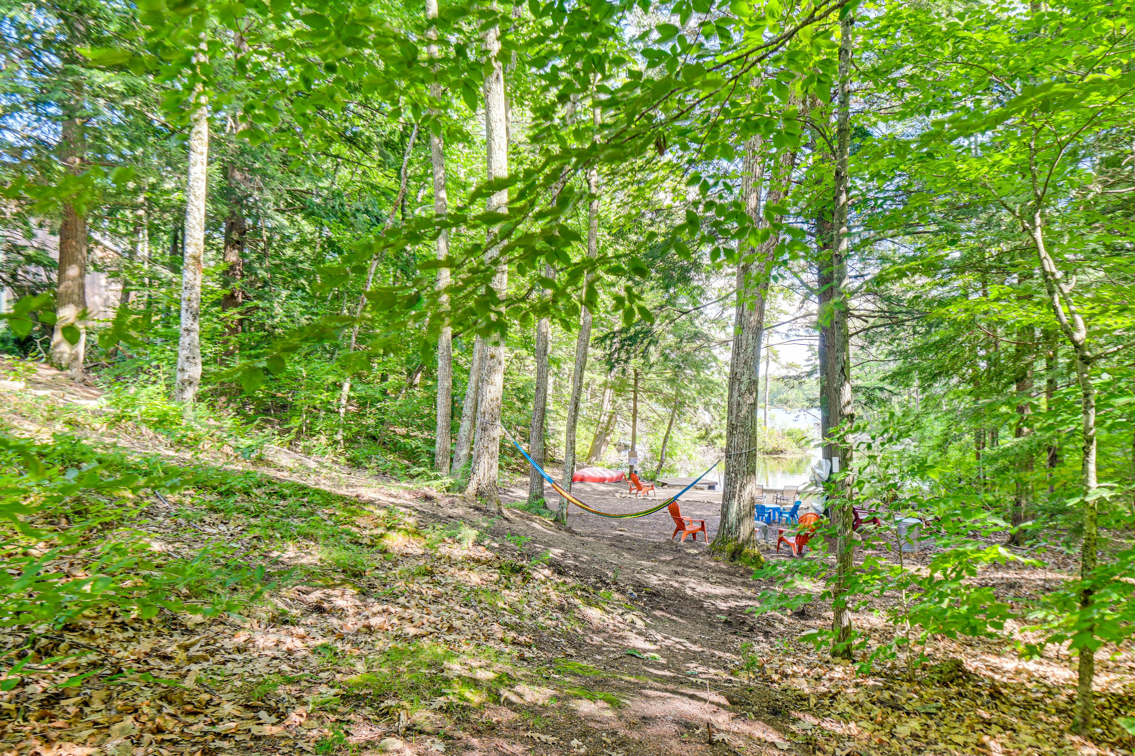 Yard in Summer | Fire Pit | Kayaks & Canoe | Cove On-Site